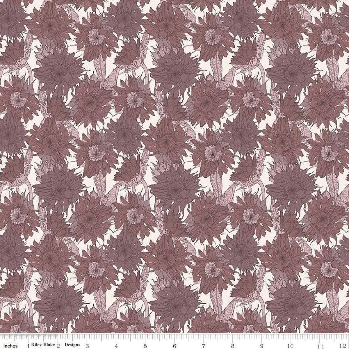 C16741-GRAPE_media-1.jpeg