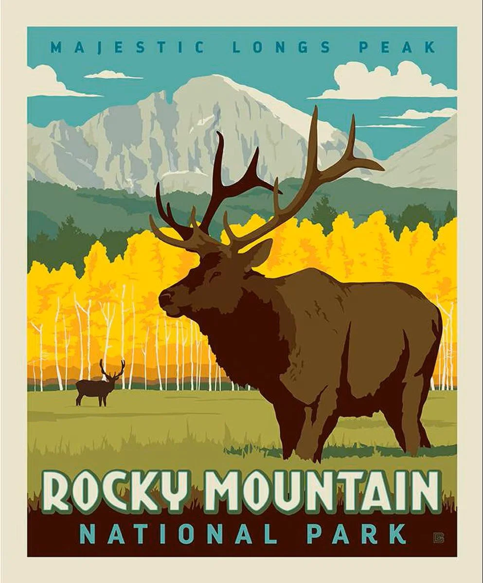 P8930-ROCKY_media-1.jpeg