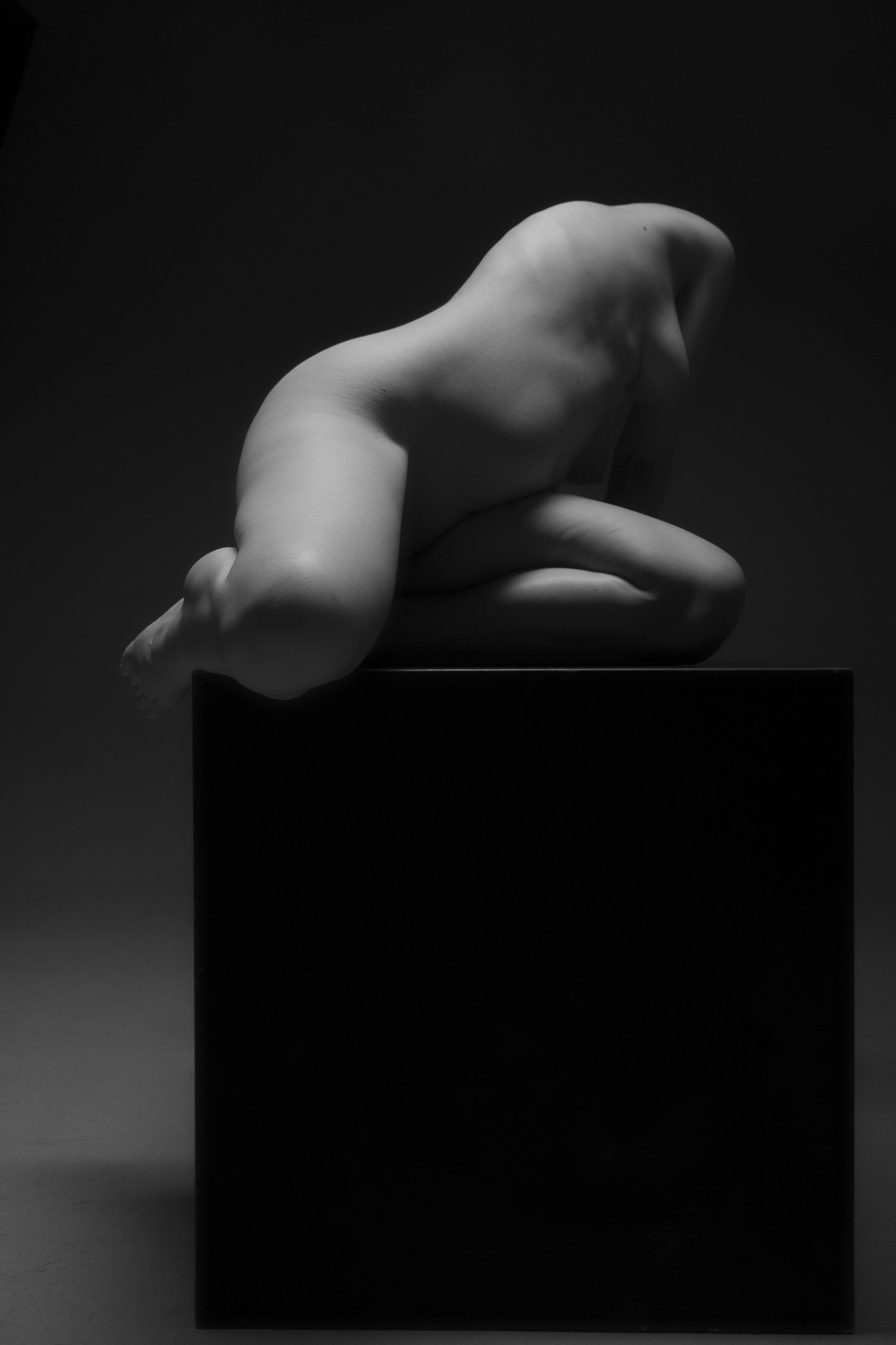 The Sculpted Form