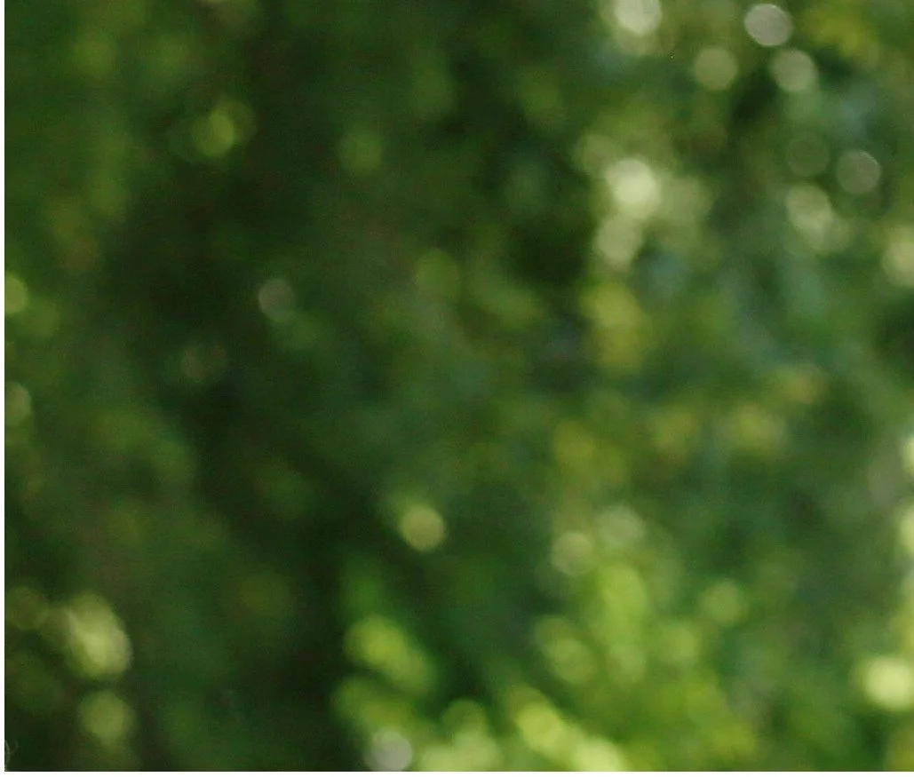 Platzhalter Portrait