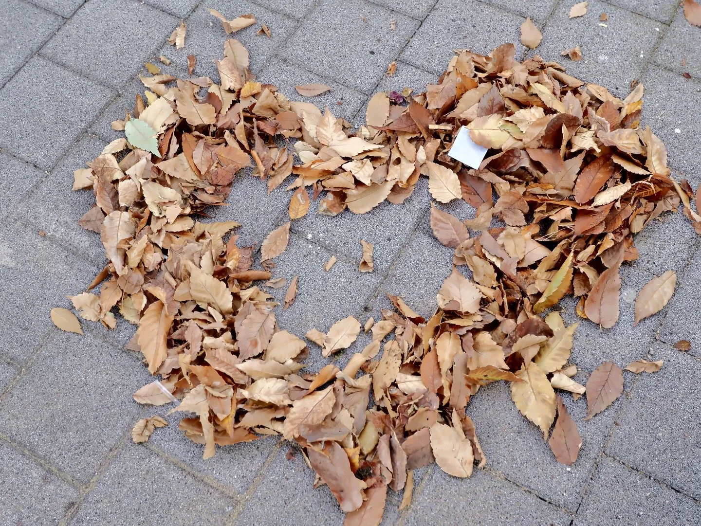 아이 하나를 키우는데 온 마을이 필요하다는 말이 있듯이,,, 공간을 키우는 데에도 동네 분들의 많은 도움이 필요하네요 🫡 이촌로에 따뜻한 가을이 지나가길 바랍니다 .. 🍂
