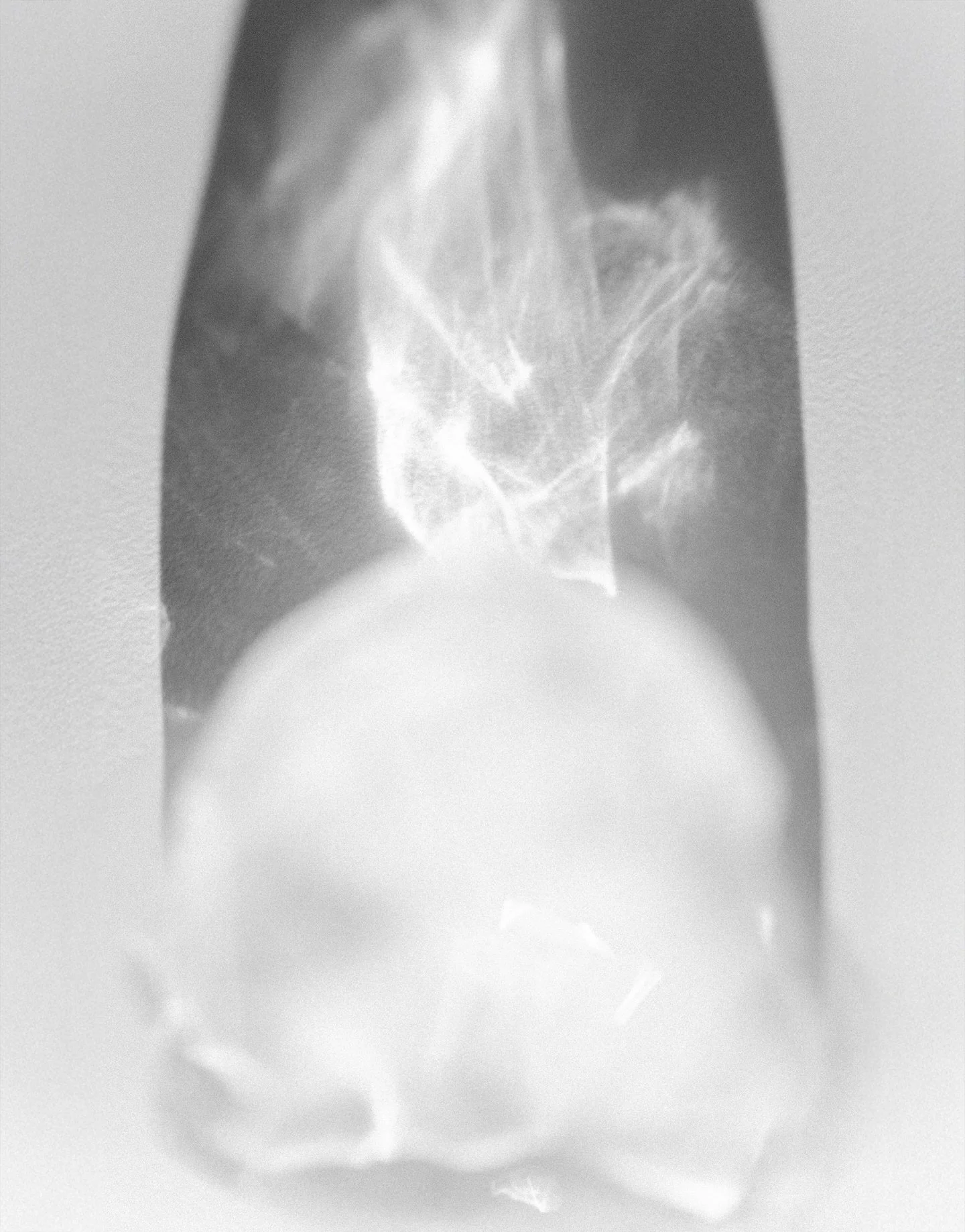 김사하, <사라지는 반짝임에 대하여>, 14 x 11 in, 2026, Printed Photography in Frame

___

&laquo;&nbsp;Chasing the Vanish : 사라지는 반짝임에 대하여&nbsp;&raquo;
김사하 개인전
2026.01.24 - 02.08 (13:00-20:00) 수 휴무
서울시 용산구 이촌로 29길 33 포르테서울
@galleryforteseoul

포르테서울의 세 번째 전시, ≪