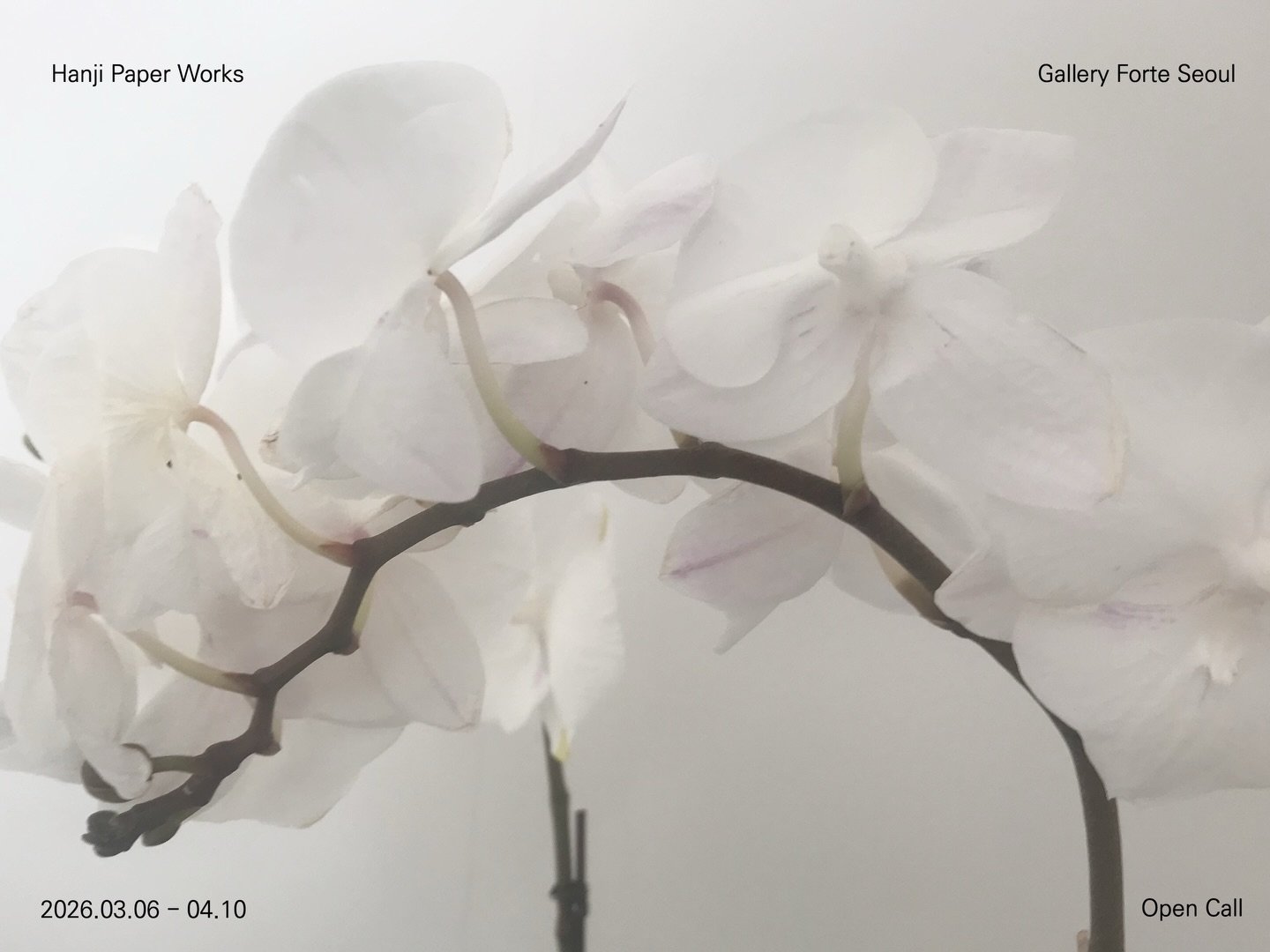 ☕️한지 사용 작가 전시 대관 공모🤍

전시 장소 : 갤러리 포르테서울 (서울시 이촌로 29길 33)

전시 날짜 : 8월 중 2주일

전시 내용 : 한지로 제작한 다양한 작품(회화, 설치 등) 

공모 내용 : 
1. 한지를 사용한 회화&bull;설치 작품이 포함된 포트폴리오
2. 간단한 자기소개서
를 director@forteseoul.com 으로 전송

공모 기간 : 2026.03.06 - 04.10

선발 인원 : 최대 3명 / 4월 