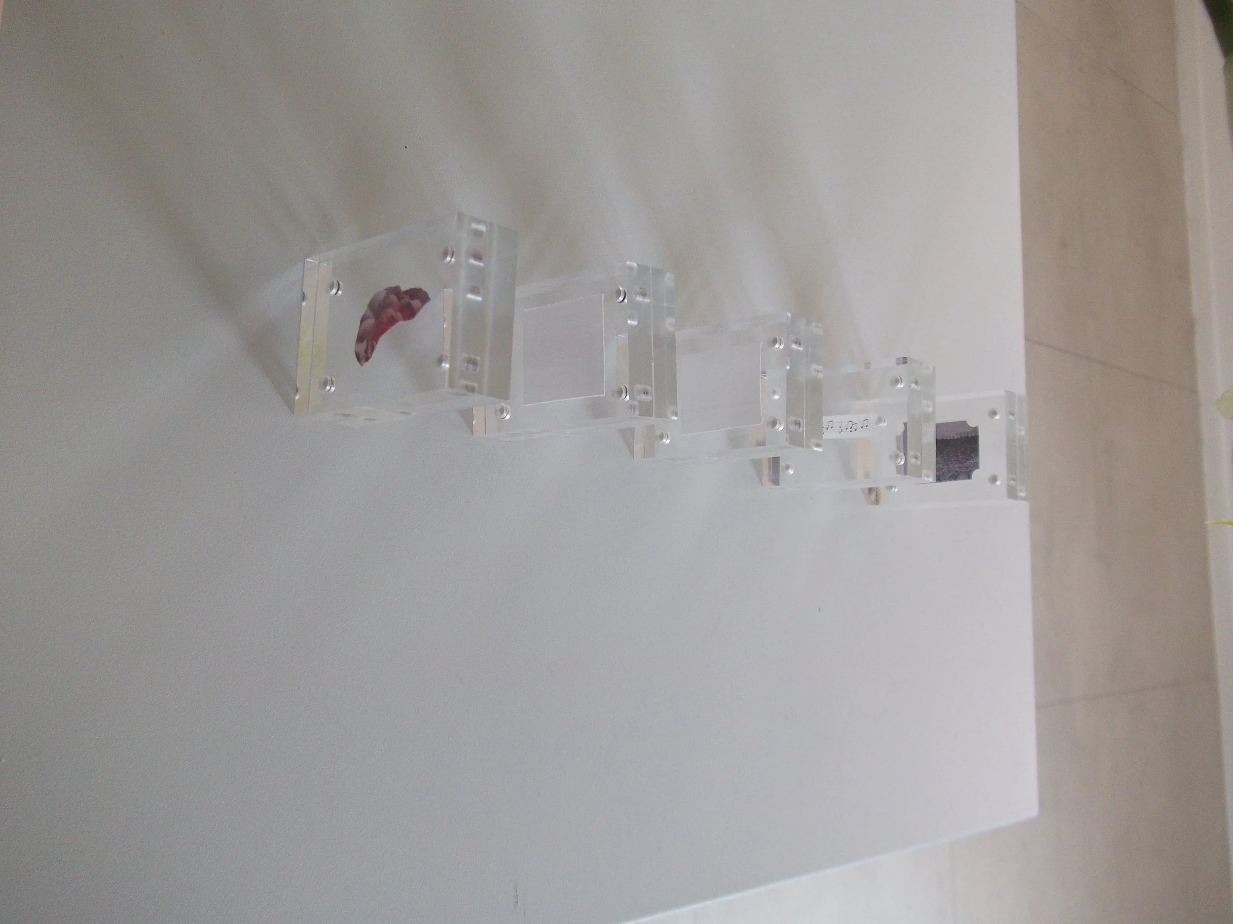 DSCF4307.png (Copy) (Copy) (Copy) (Copy)