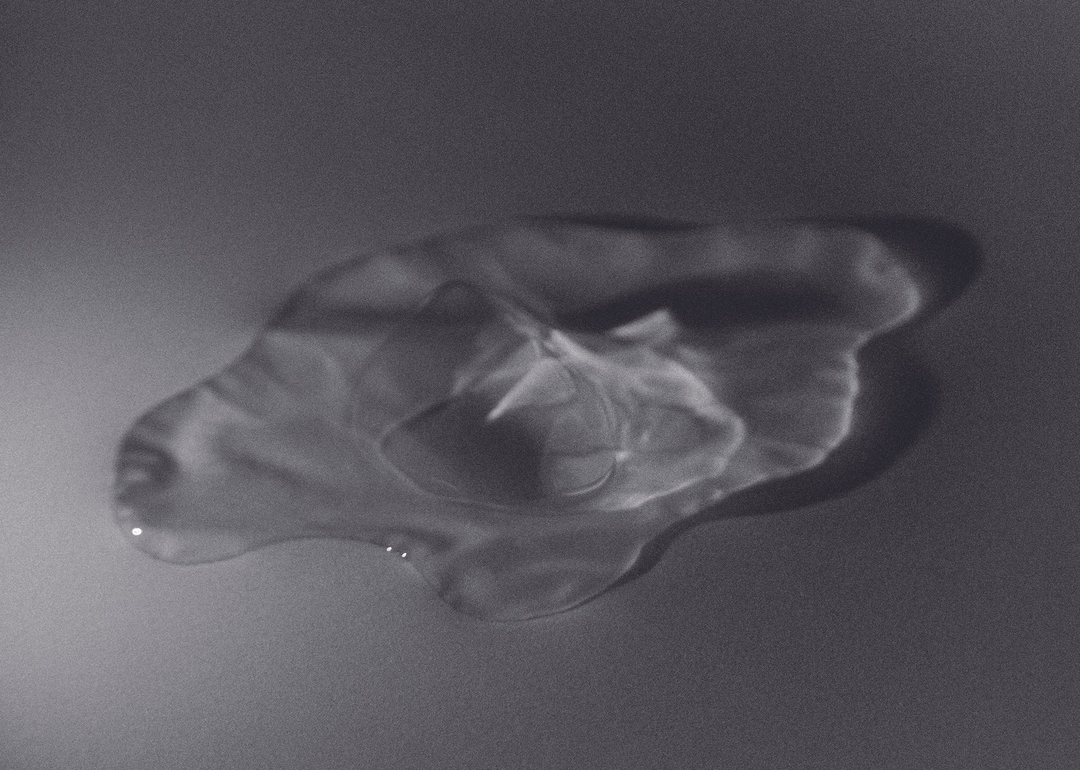 사라지는 반짝임에 대하여