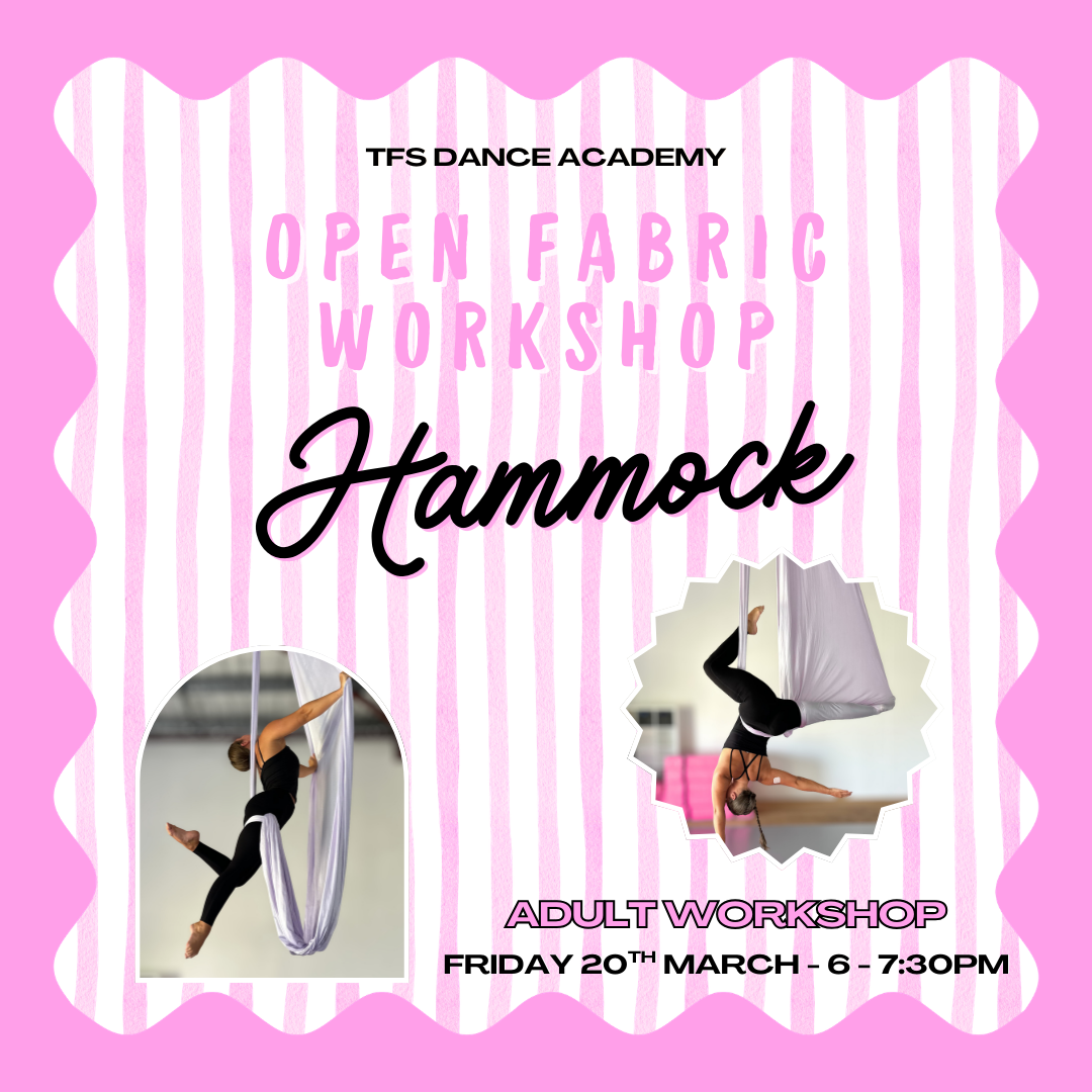 Adult Aerial Arts Workshop