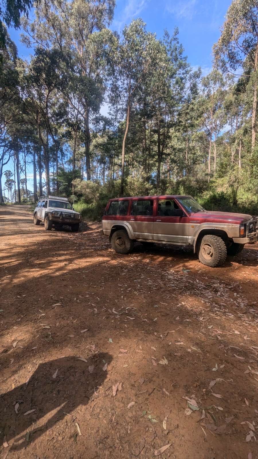 Two off-road vehicles, one red and one white, are parked on a dirt trail surrounded by trees in a forest setting during daytime.