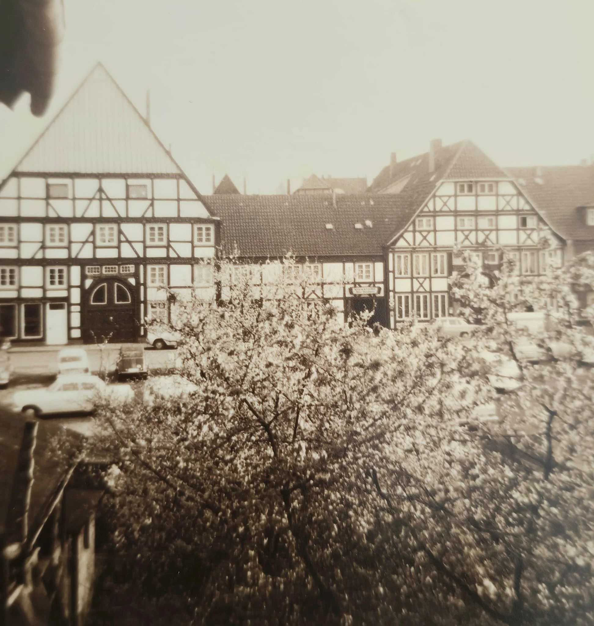Schwarz-Weiß-Foto eines historischen Stadtbildes mit klassischen Fachwerkhäusern, Bäumen im Vordergrund und parkenden Autos.