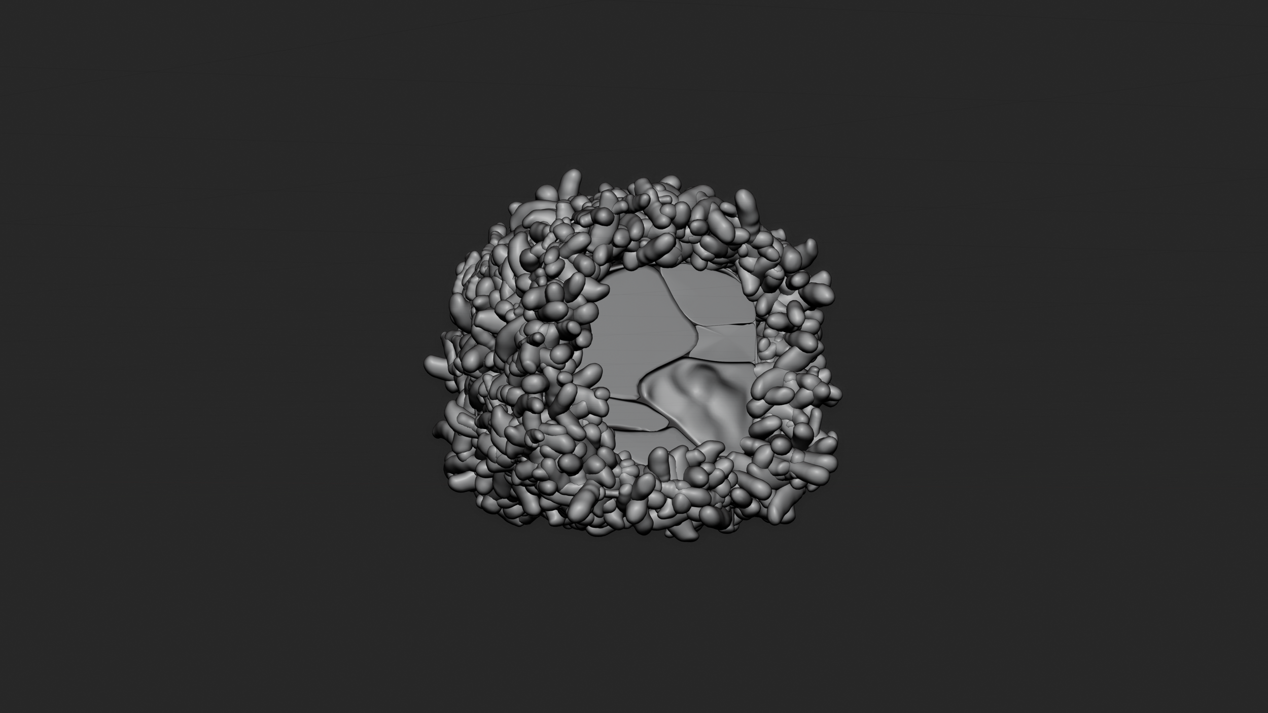 viewport only sushi.png