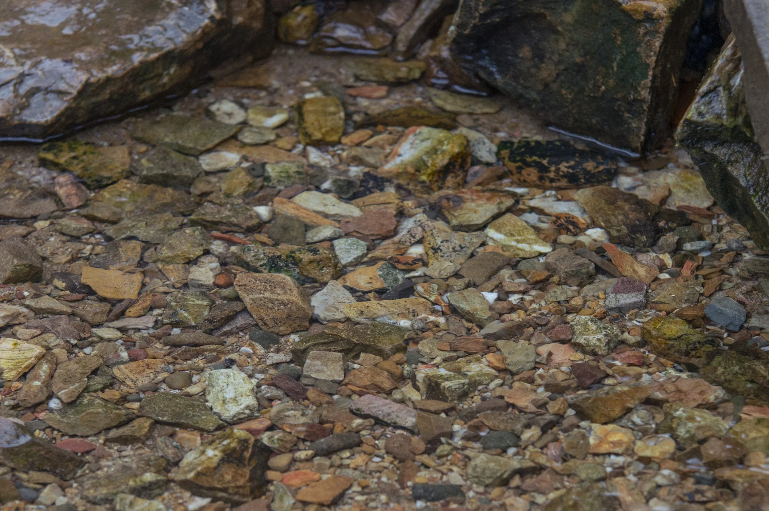 Steine im Wasser neben meinem Doula Angebot zur ganzheitlichen Begleitung zur Schwangerschaft, Geburt und Wochenbett.