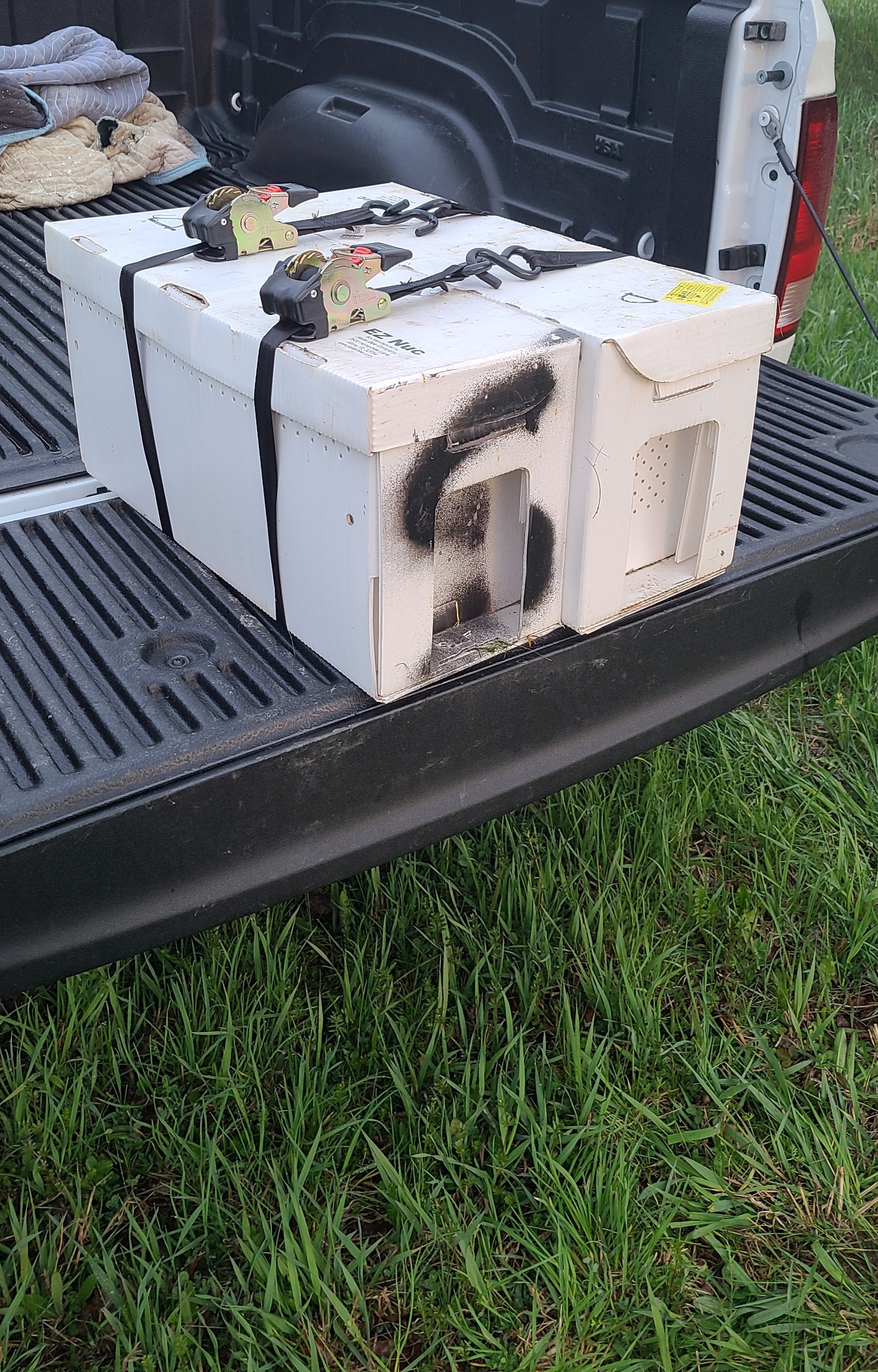 Sell of 2 nucs.jpg