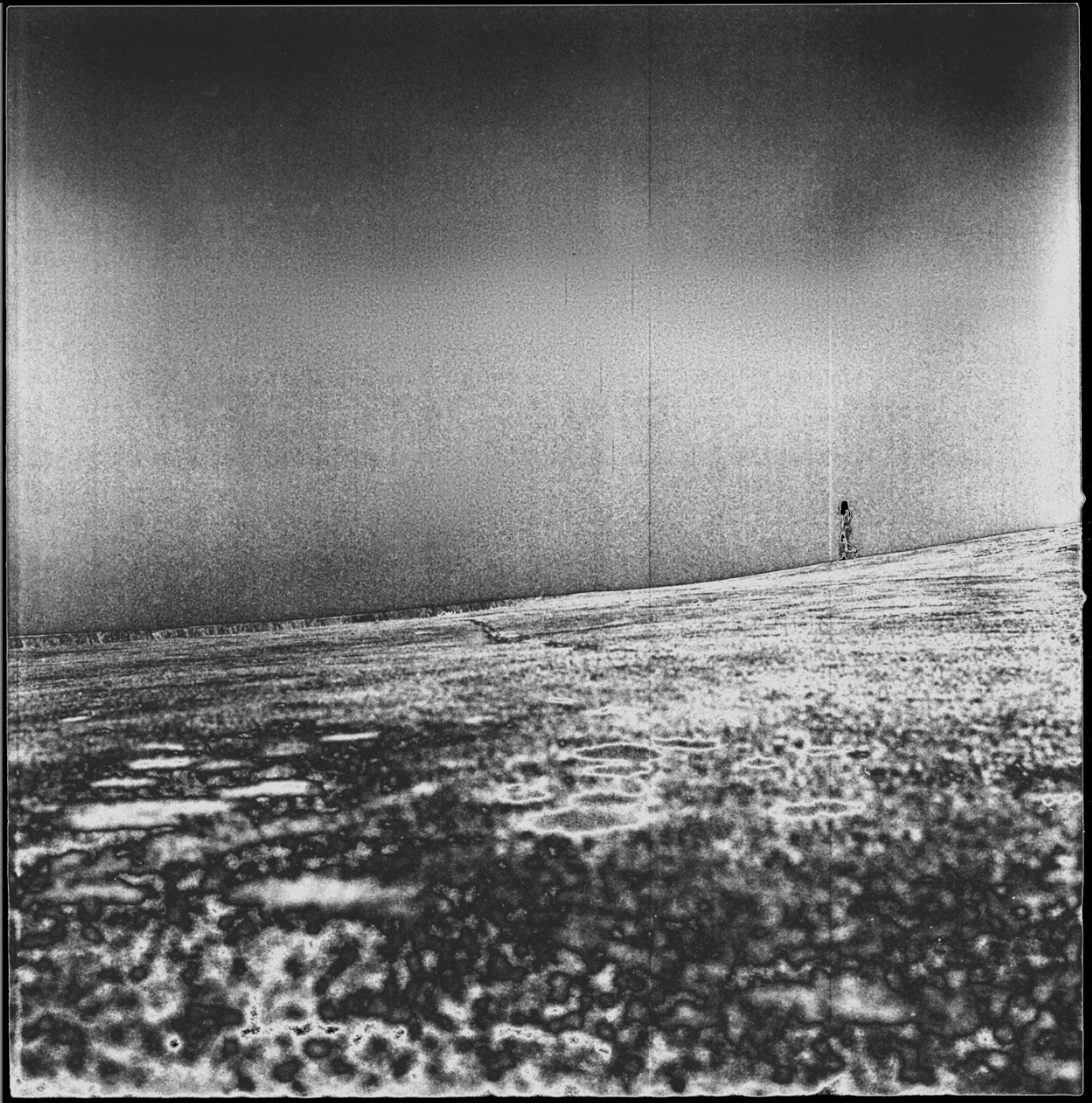 Sicilia2023Salvami tu-044copia1.jpg