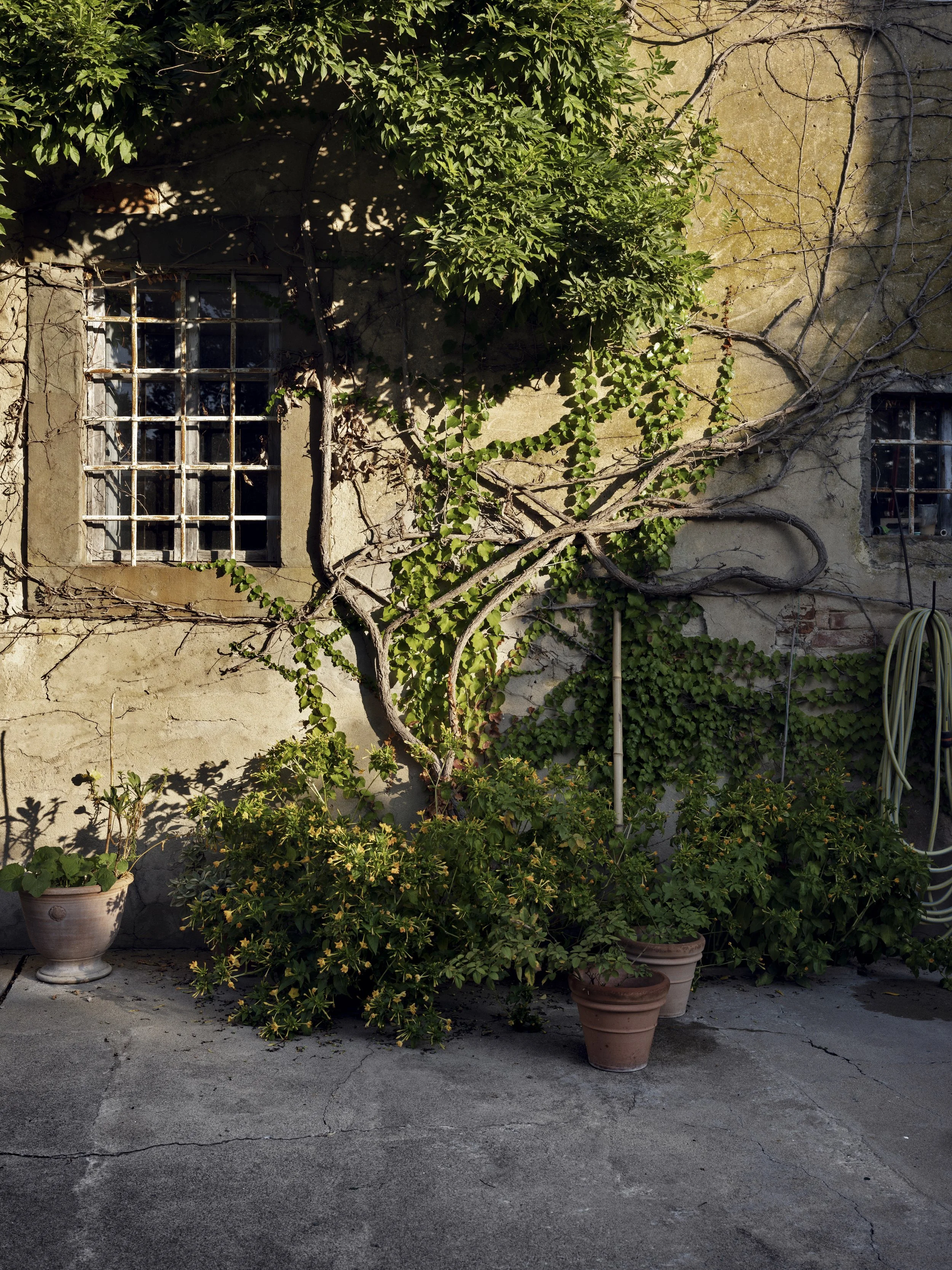 03_Antonio Monfreda-612-HDR.jpg