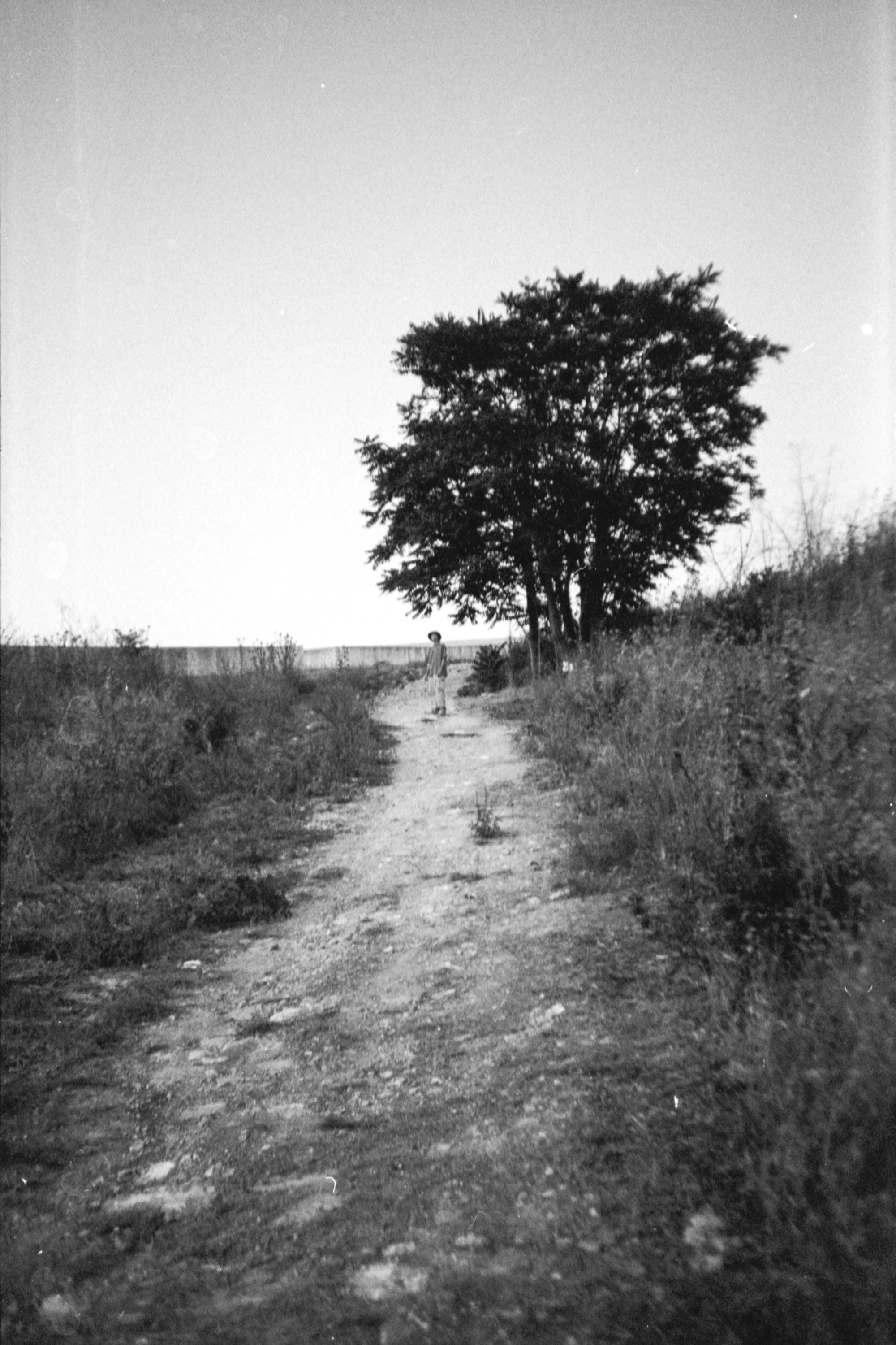 Sicilia2023Salvami tu.35mm-046.jpg