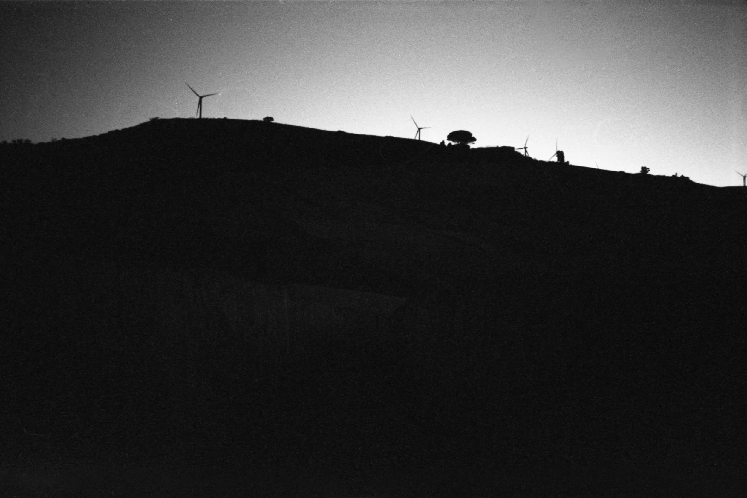 Sicilia2023Salvami tu.35mm-002.jpg