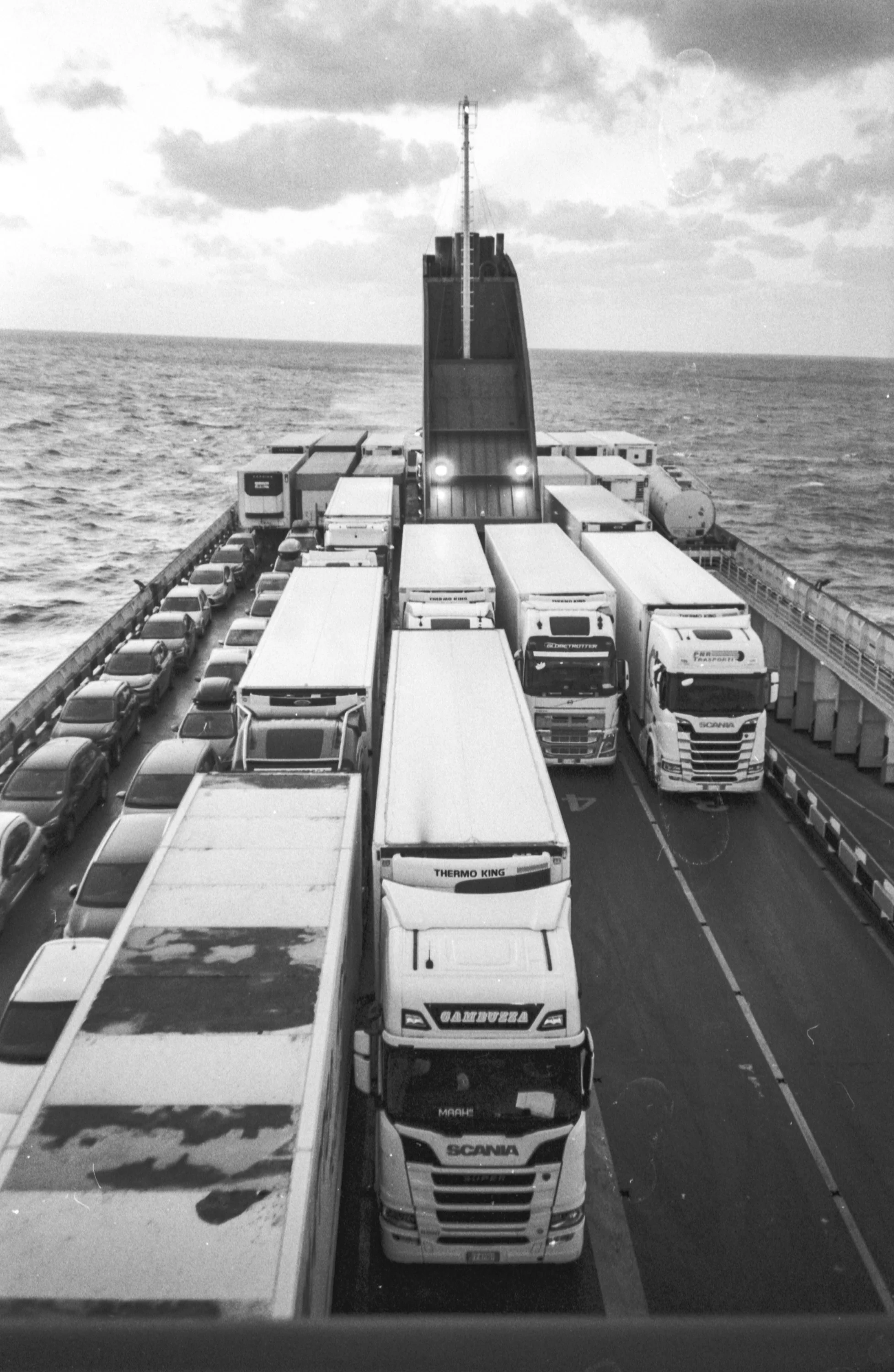 Sicilia2023Salvami tu.35mm-044.jpg