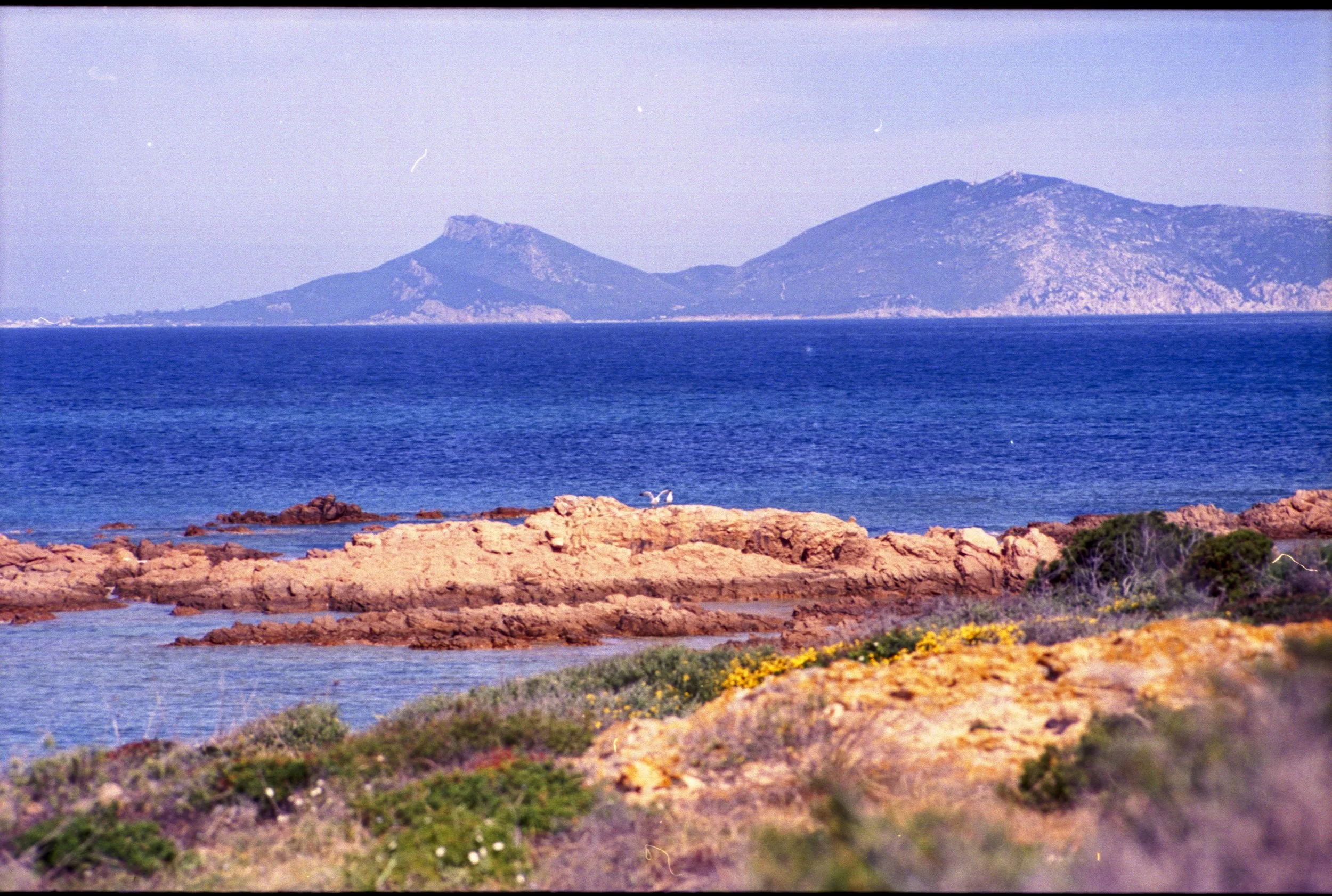 1-Vikini.28.jpg