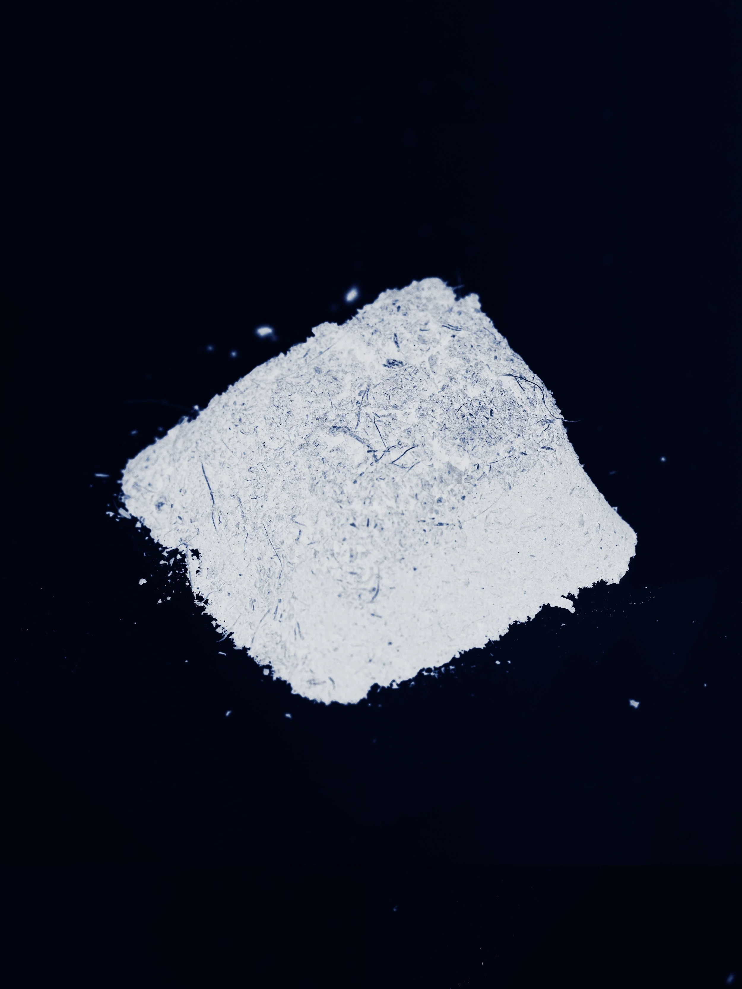 _W1A0940-Modifica.jpg