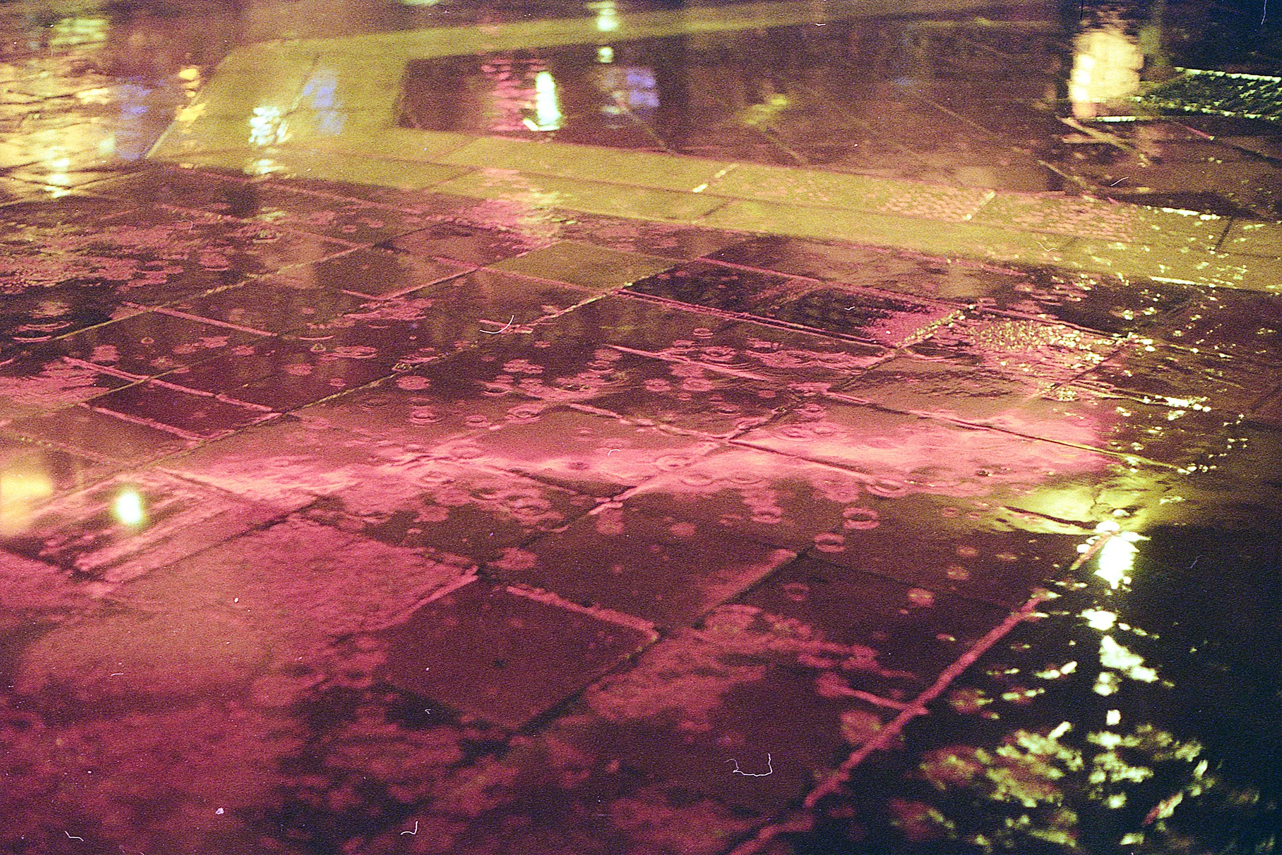 NIZZA.GENNAIO12.jpg