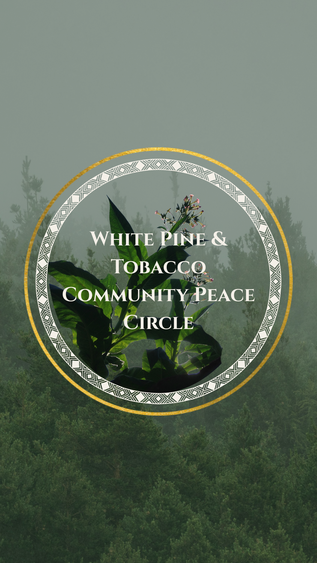 Community Peace Circle