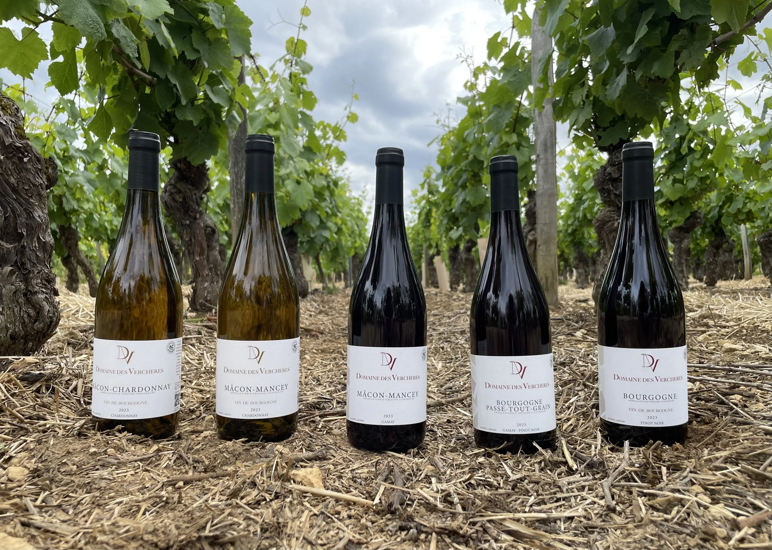 Les cinq premières cuvées.