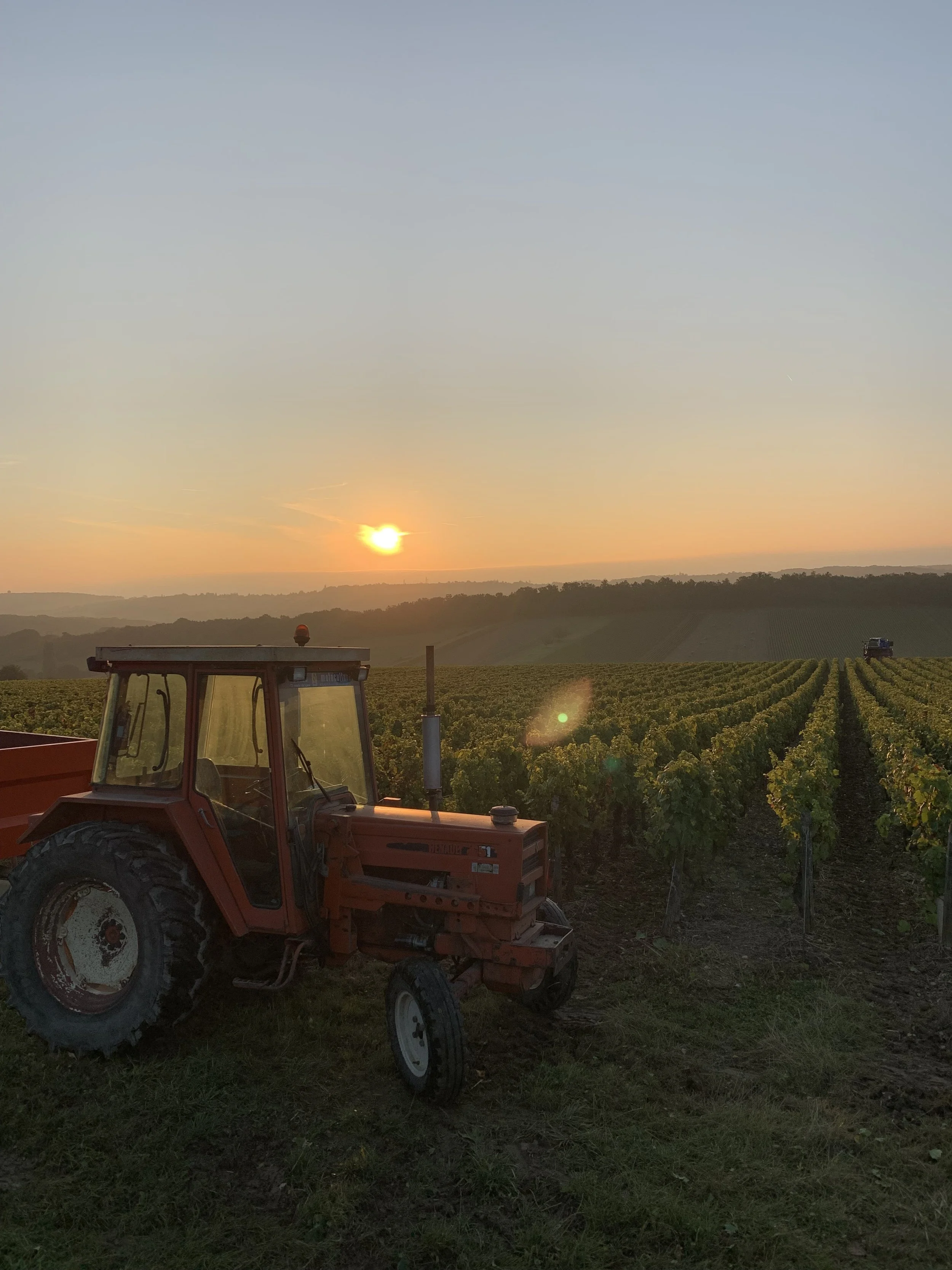 Le deuxième tracteur de l'exploitation un Renault 651.