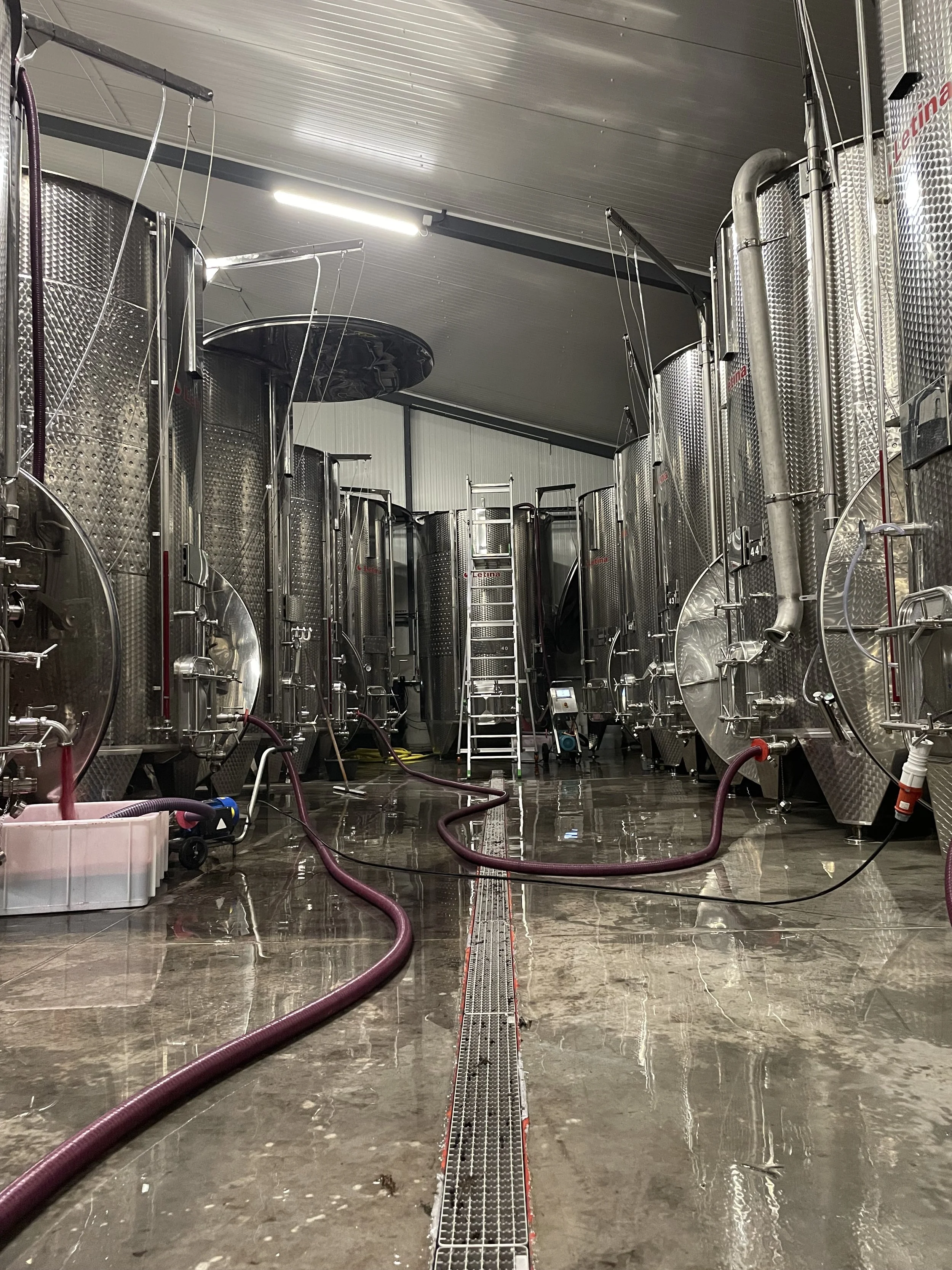 Les cuves de rouges en plein remontage.