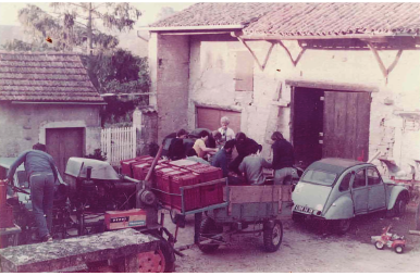 Vendangeurs dans la cours de la famille DUPUIS dans les années 80.