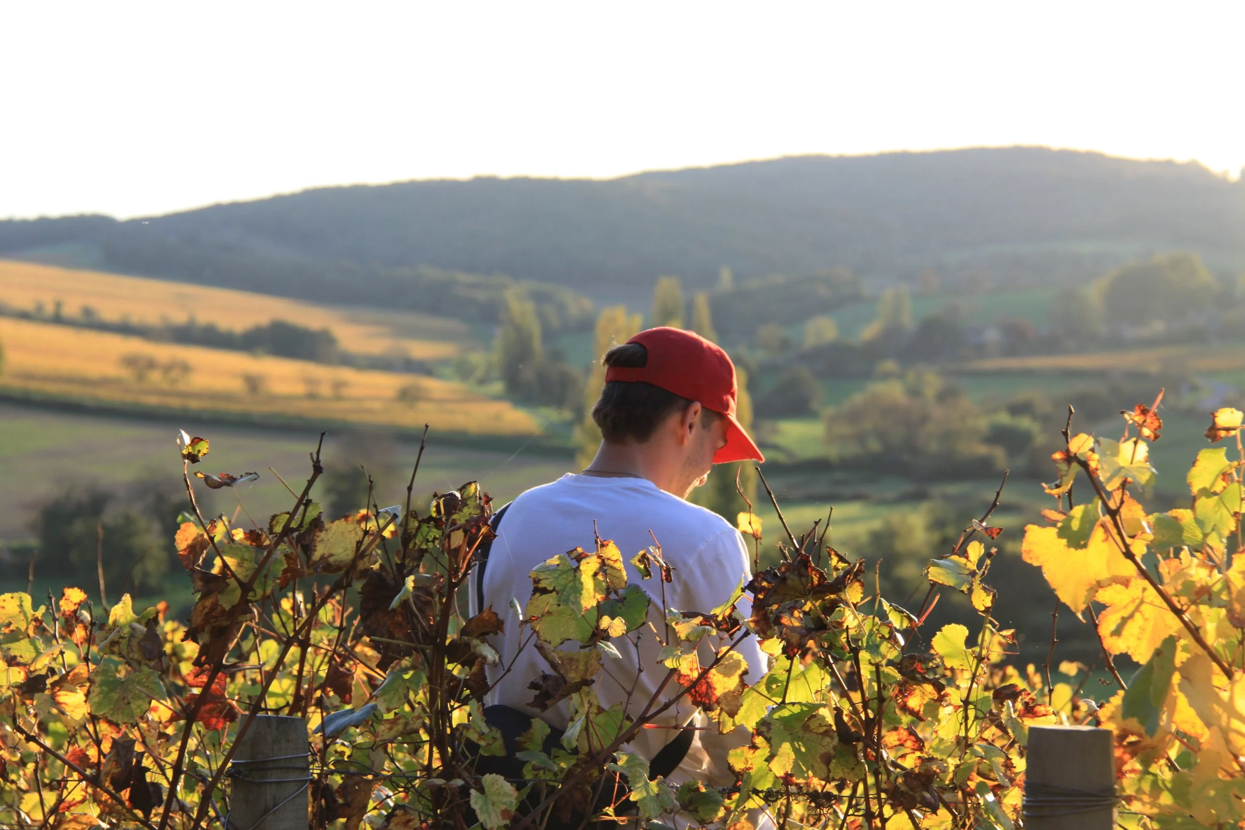 Le cousin de la famille toujours prêt à donner un coup de main.