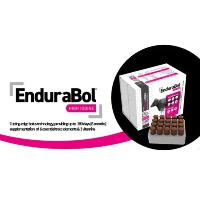 EnduraBol mineralbolus med vitaminer for kyr og kviger, brukt før kalving
