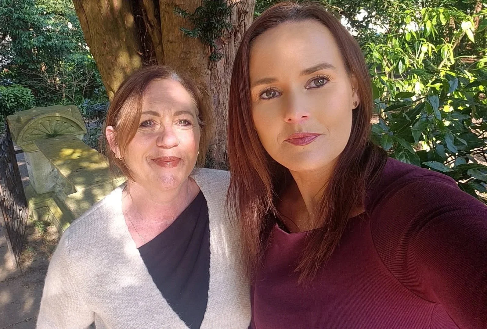 Domestic Abise in North Somerset