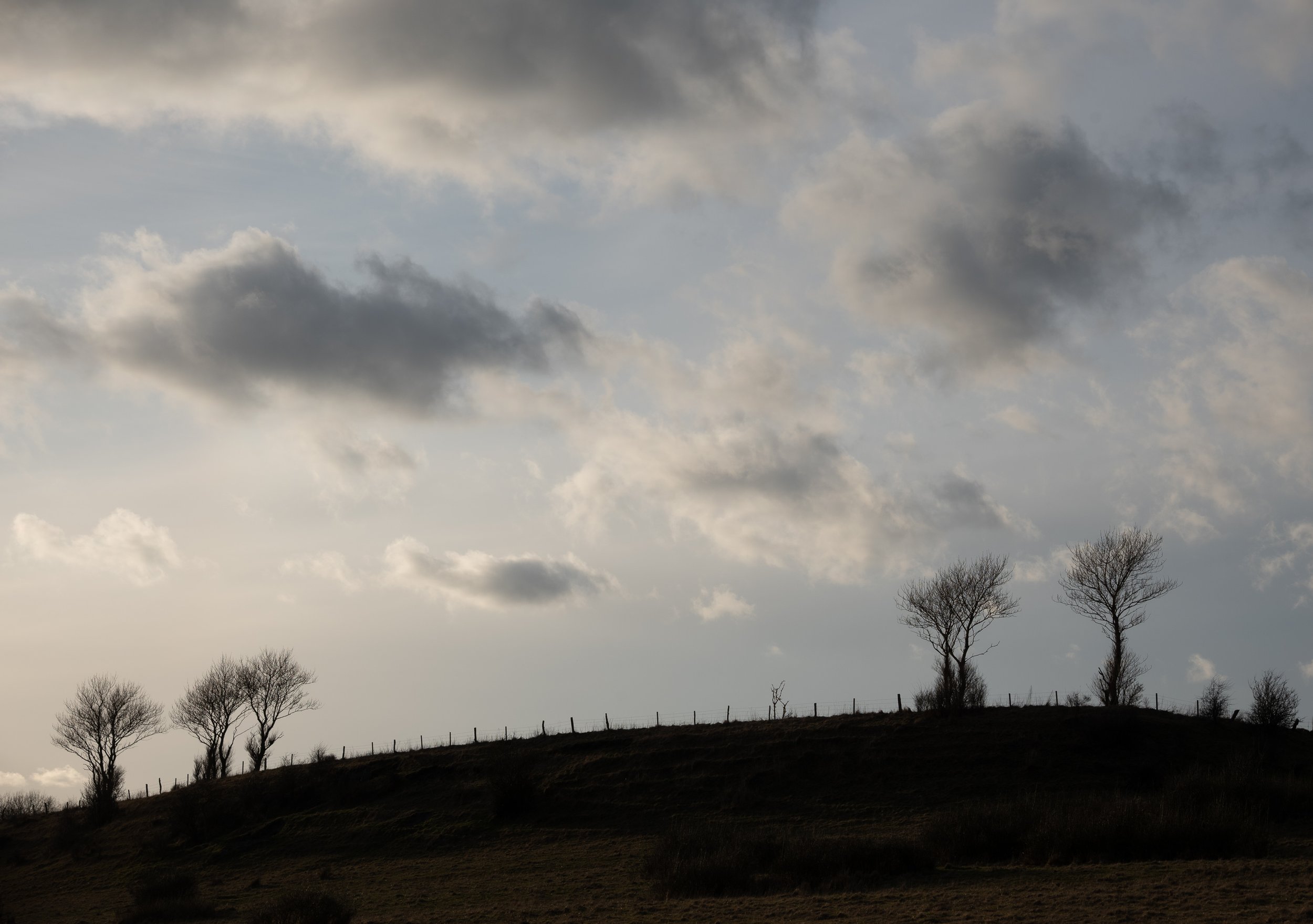 Leafless trees on a hillside beneath a cloudy sky.
