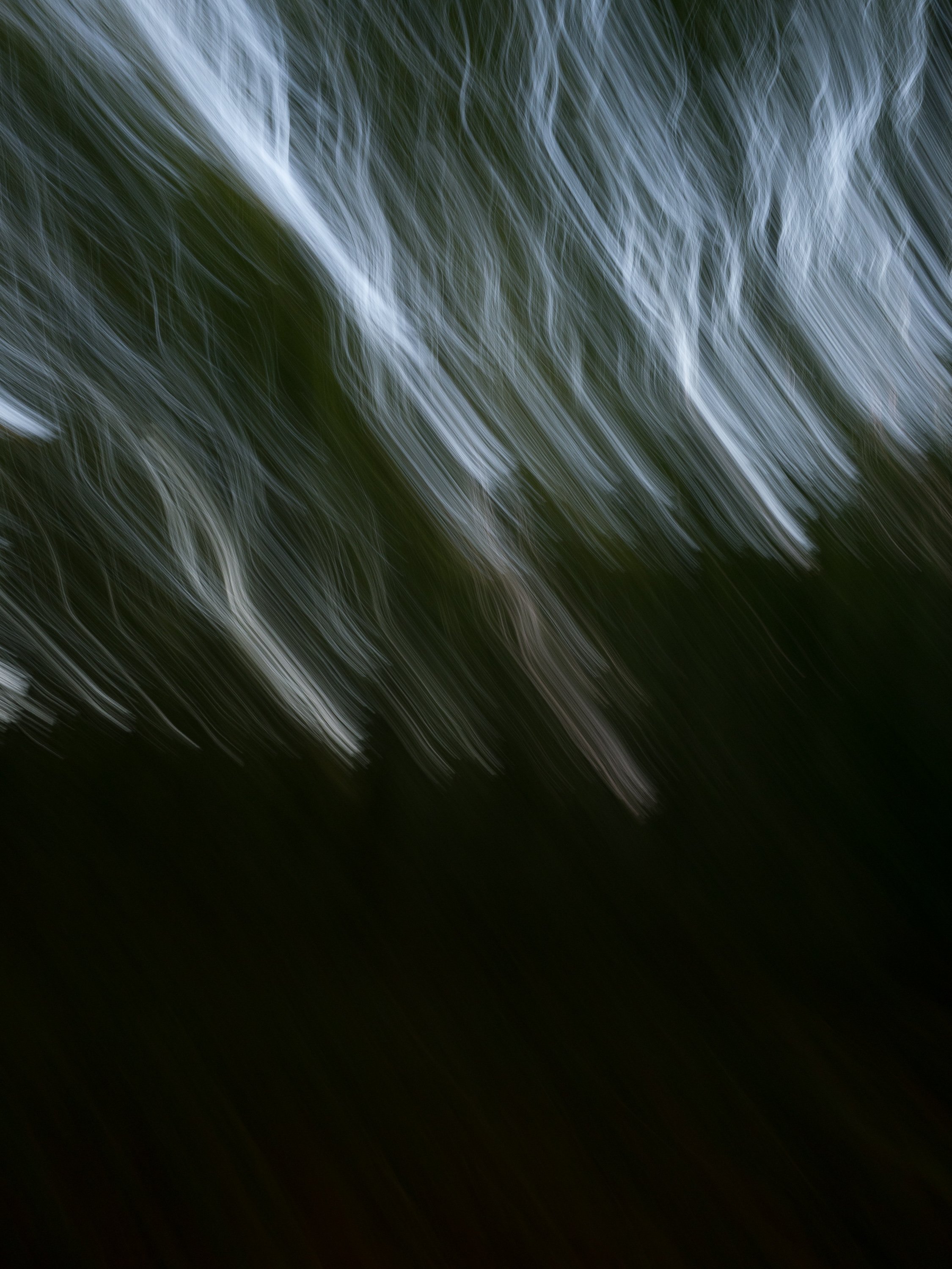 Blurred light and dark shapes against the sky.