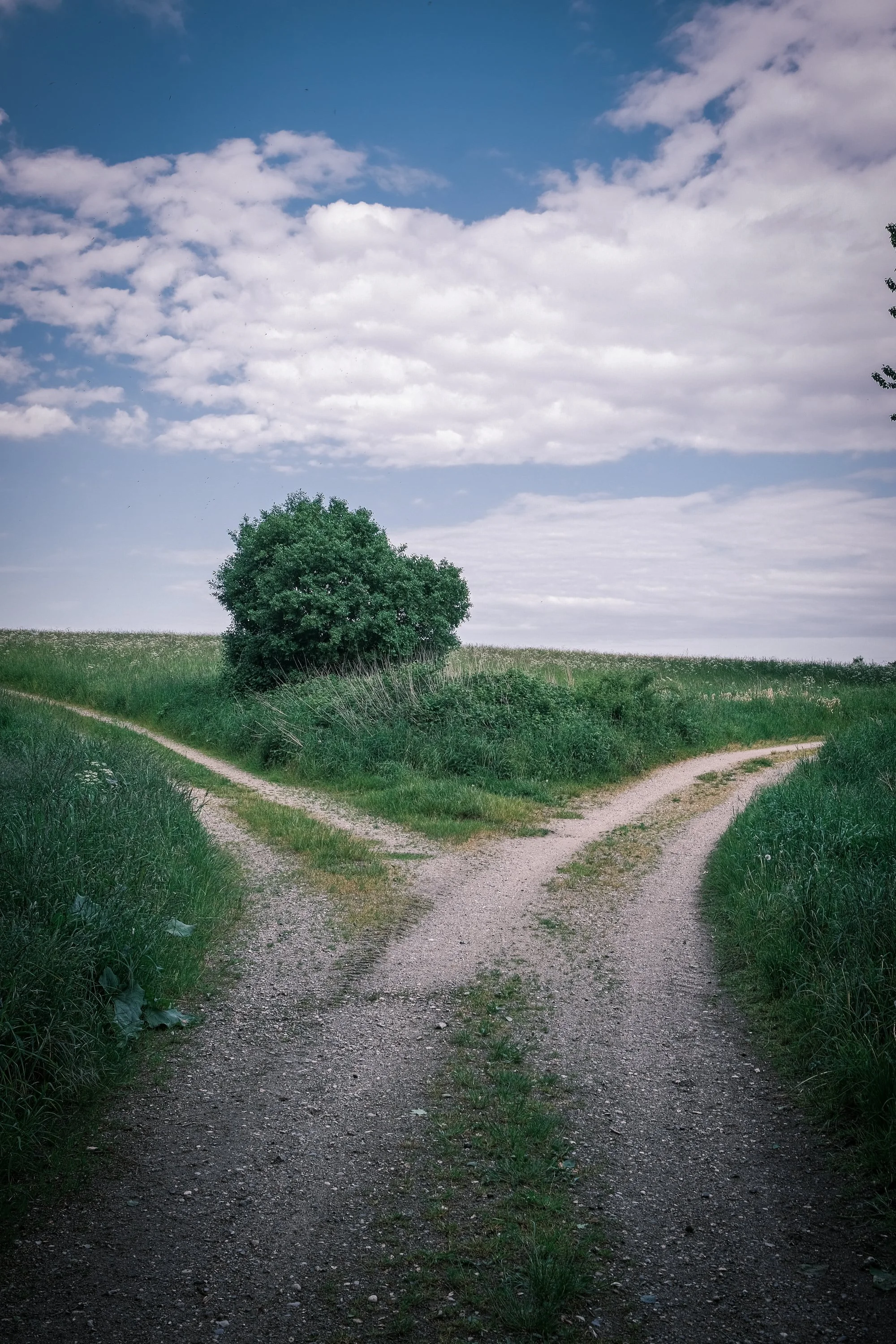 Dirt path splitting in two through a grassy landscape under a cloudy sky.