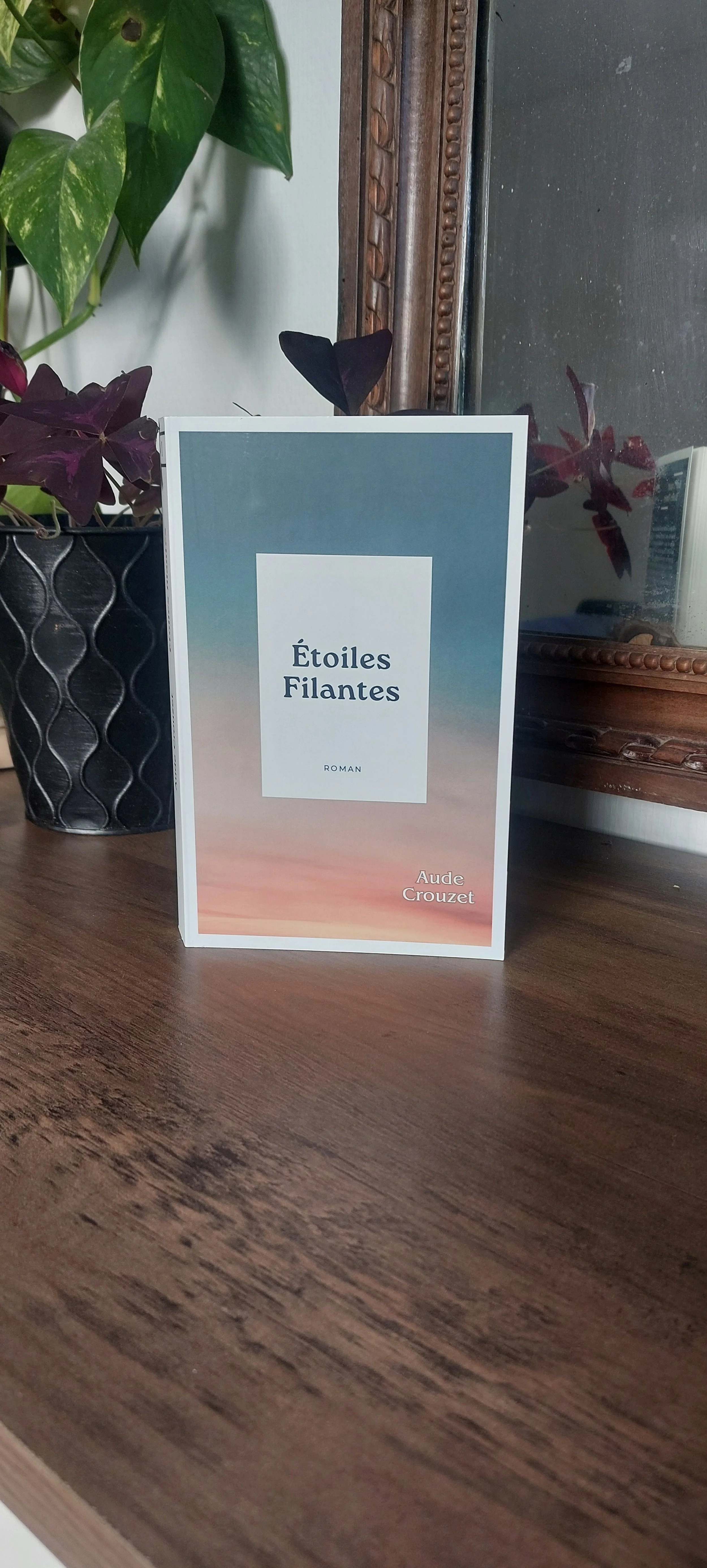 Roman Etoiles Filantes