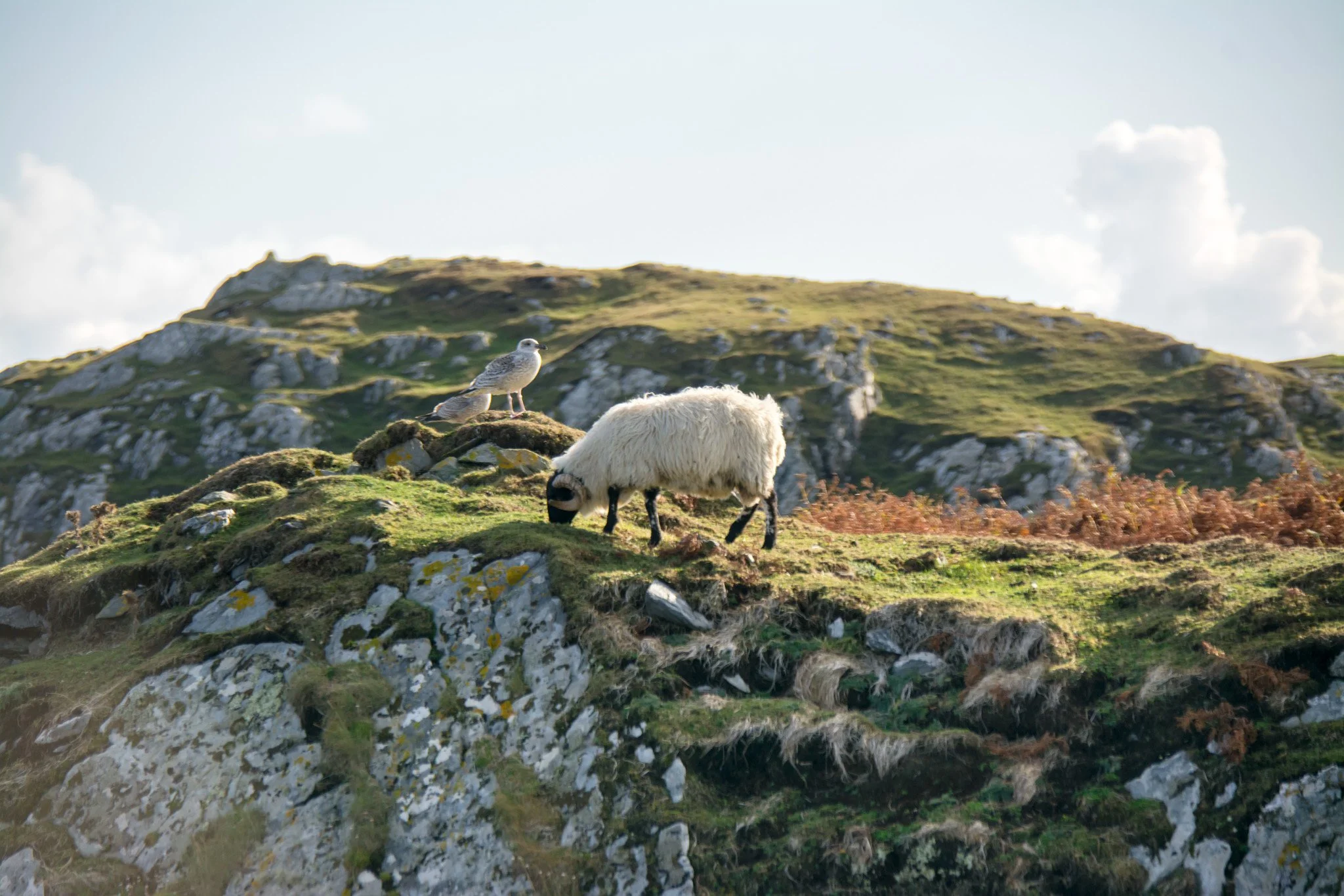 Ireland-03.jpg