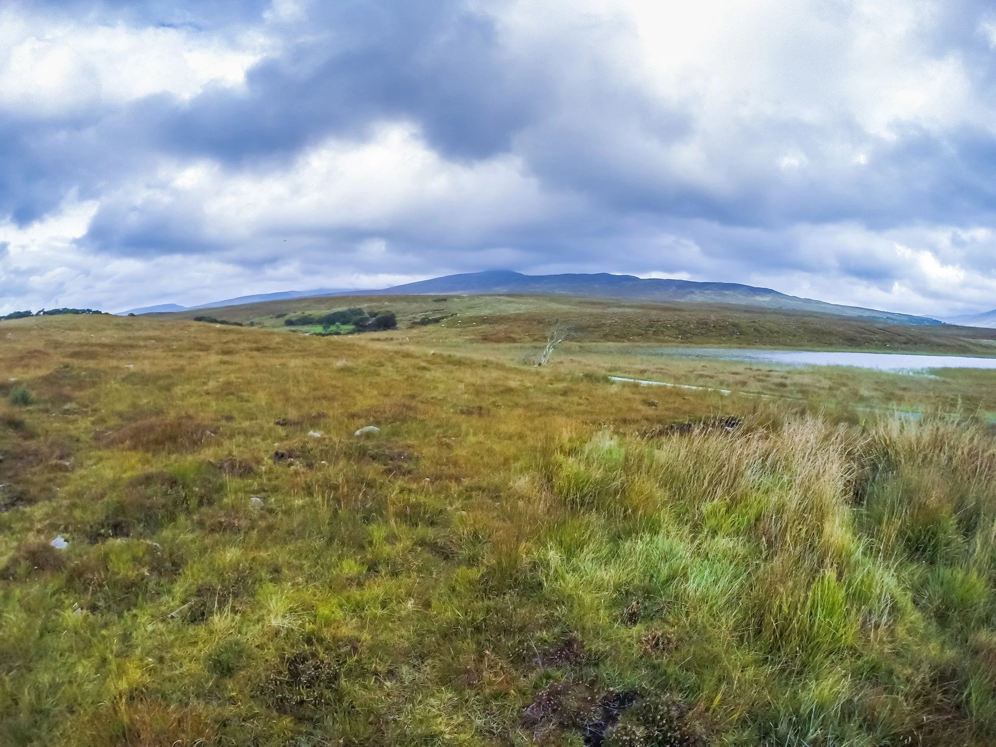 Ireland-54.jpg