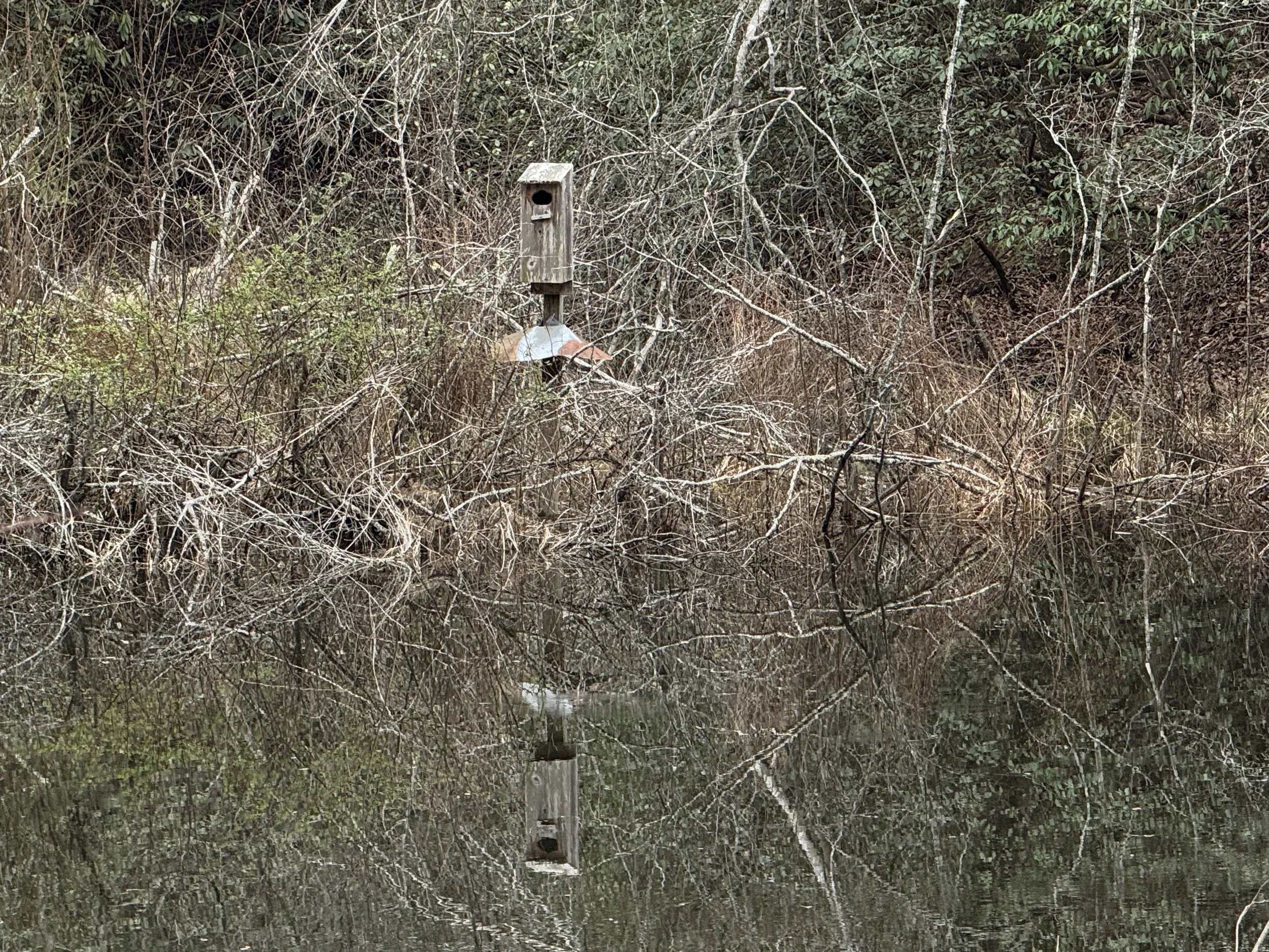 reflections and Devils Fork State Park.JPG