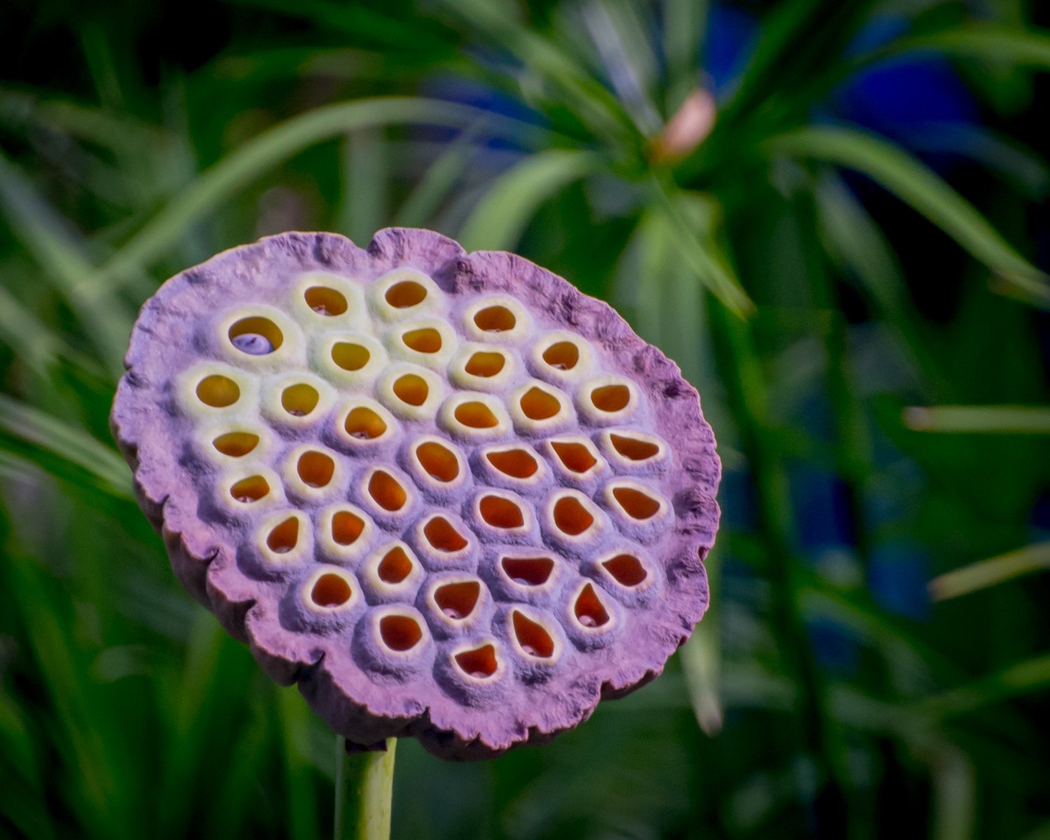 colorful beginnings.jpg