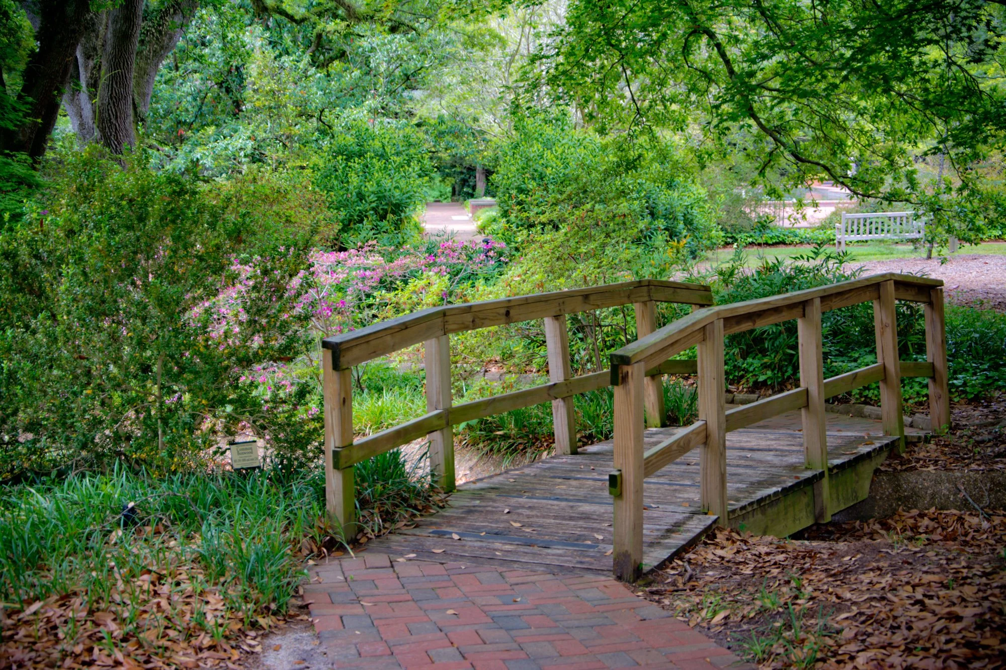 the bridge to nowhere.jpg