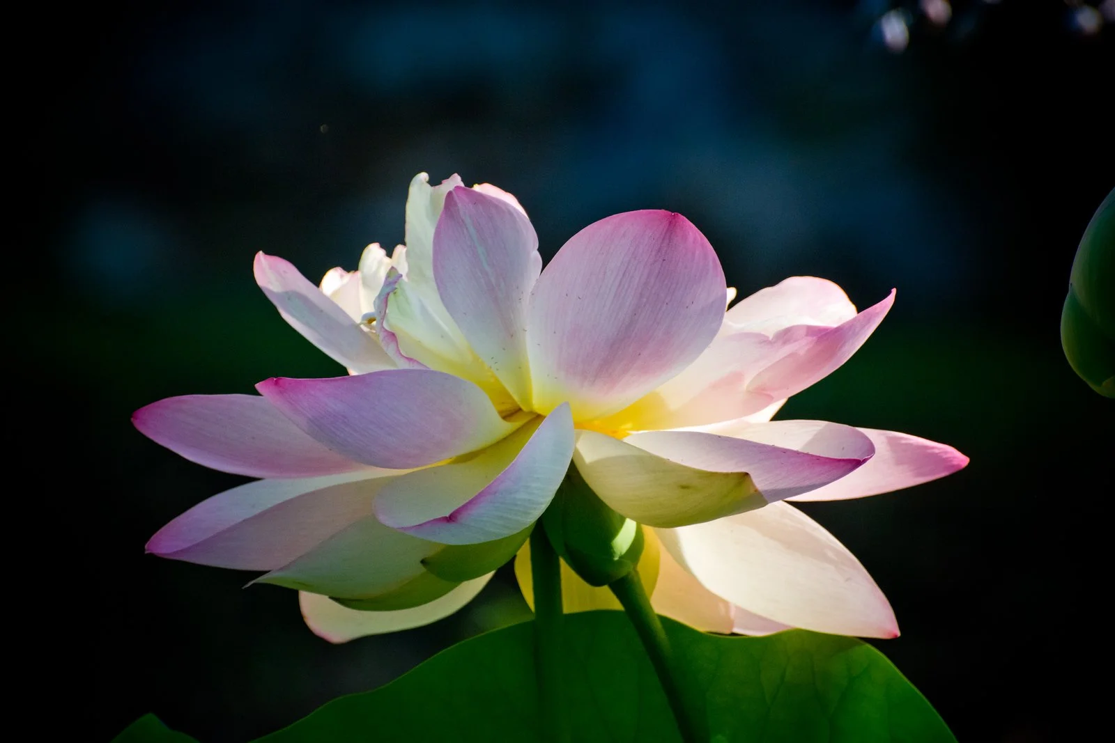 when darkness breraks.jpg