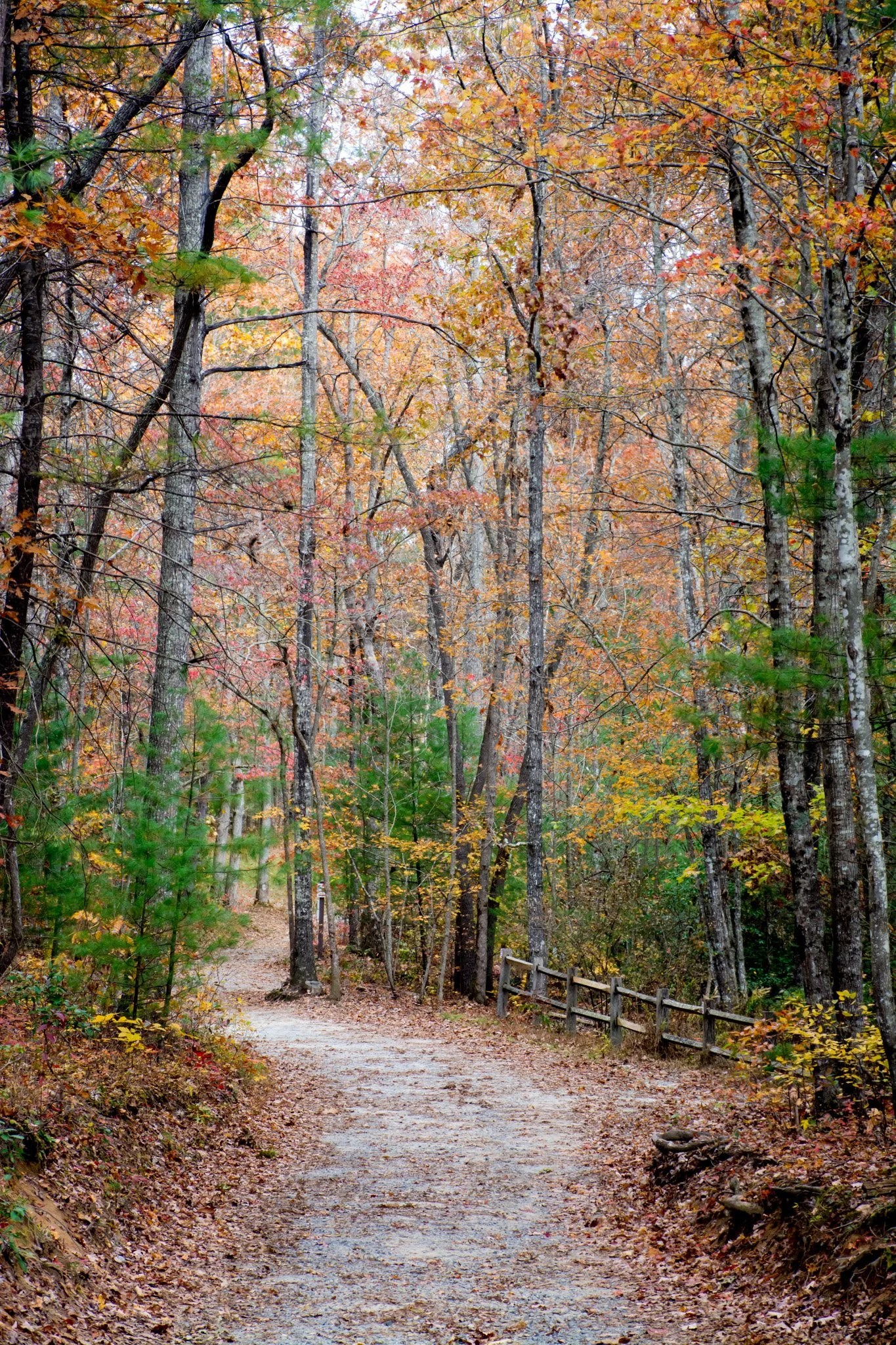 Autumn-28.jpg