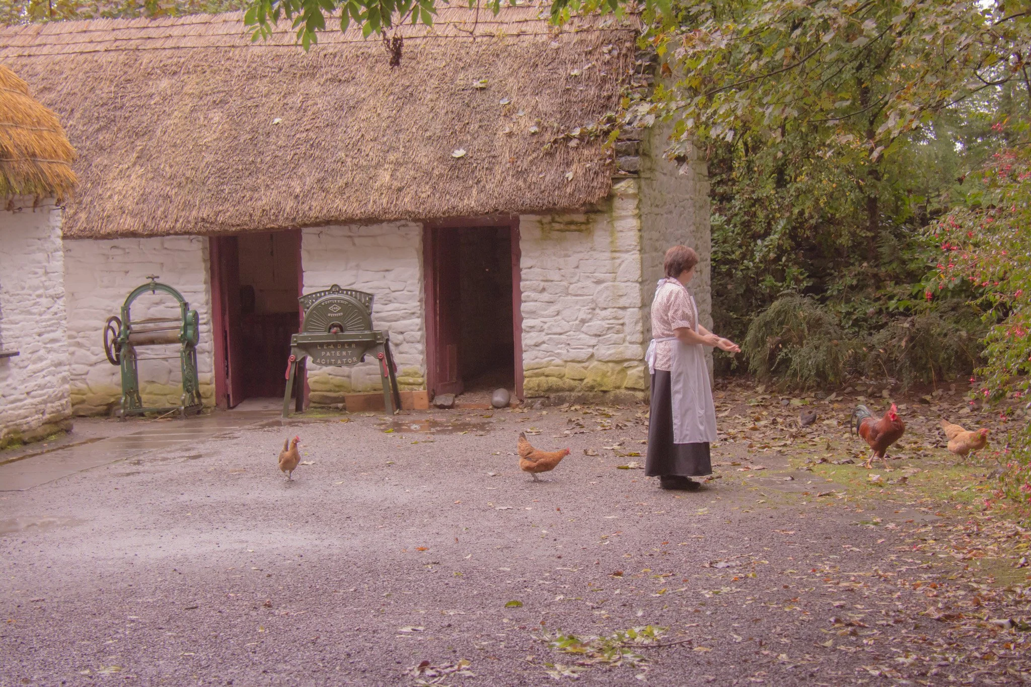 Ireland-53.jpg