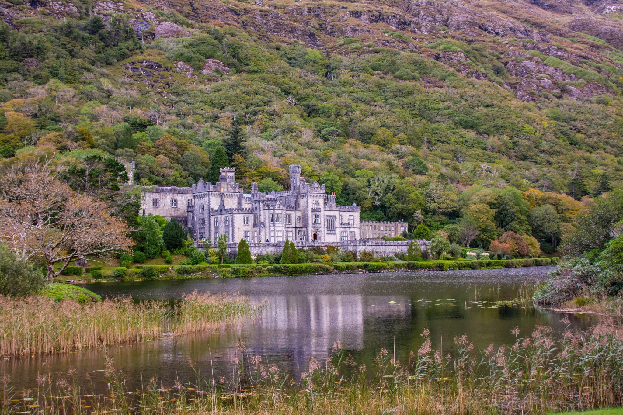 Ireland-17.jpg