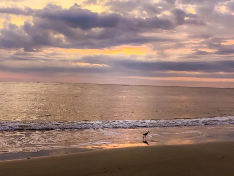 morning walk.jpg
