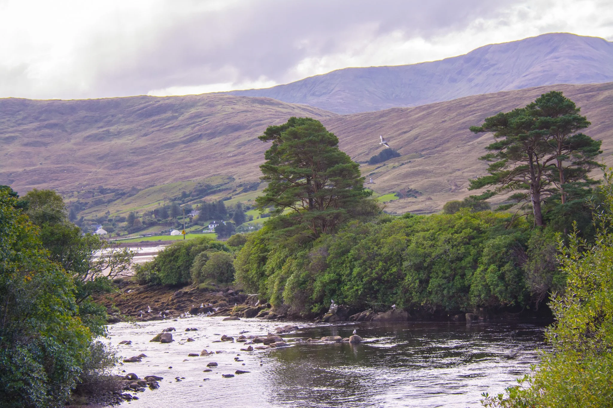 Ireland-20.jpg
