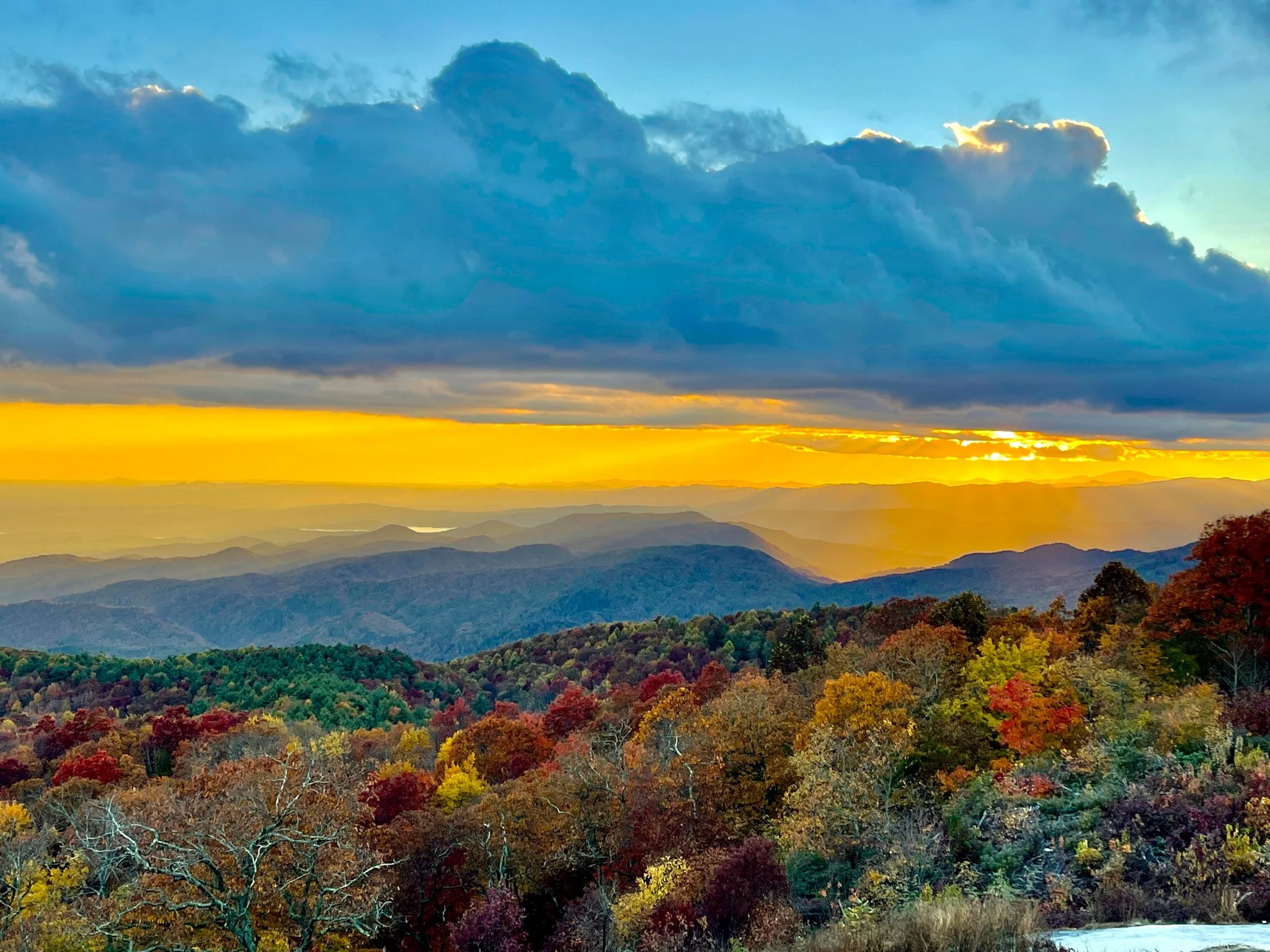 autumn-1.jpg