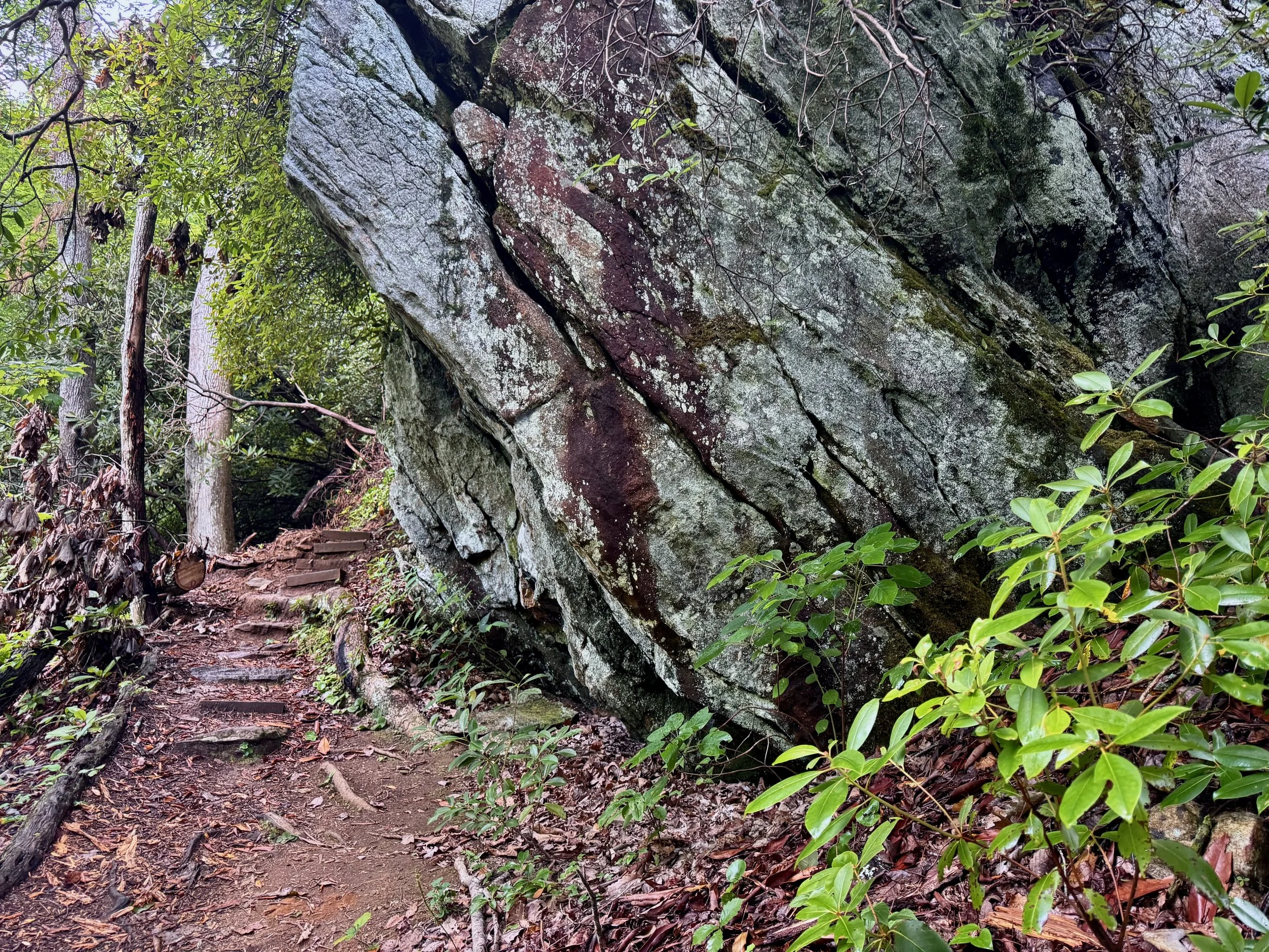 unexpected pathways to whitewater falls.jpeg