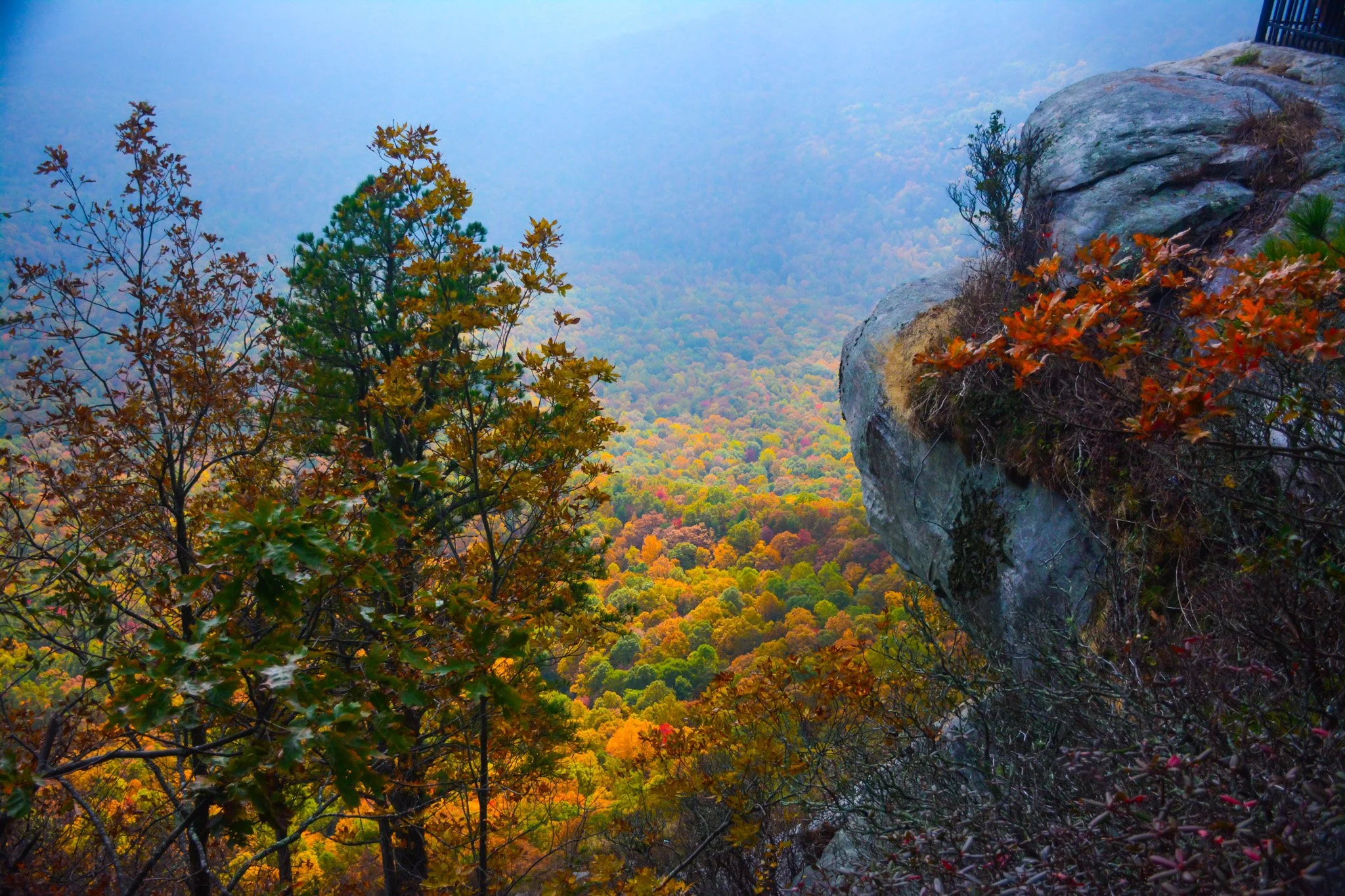 Autumn-04.jpg