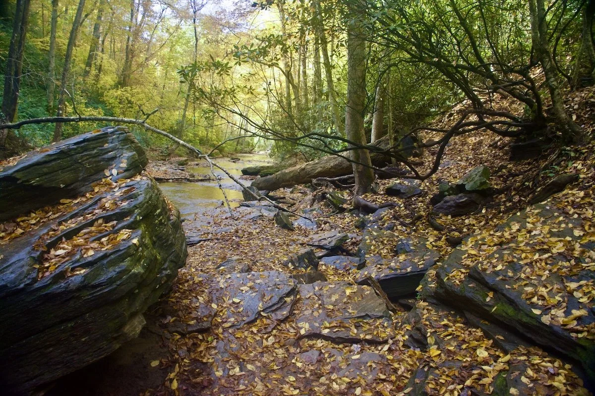 inviting autumn.jpeg